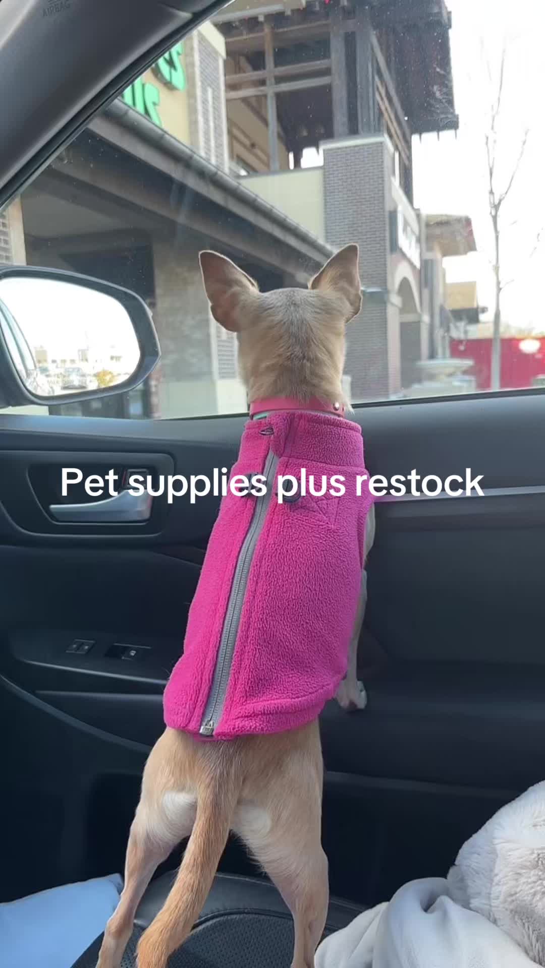 @Gidget/WagWild