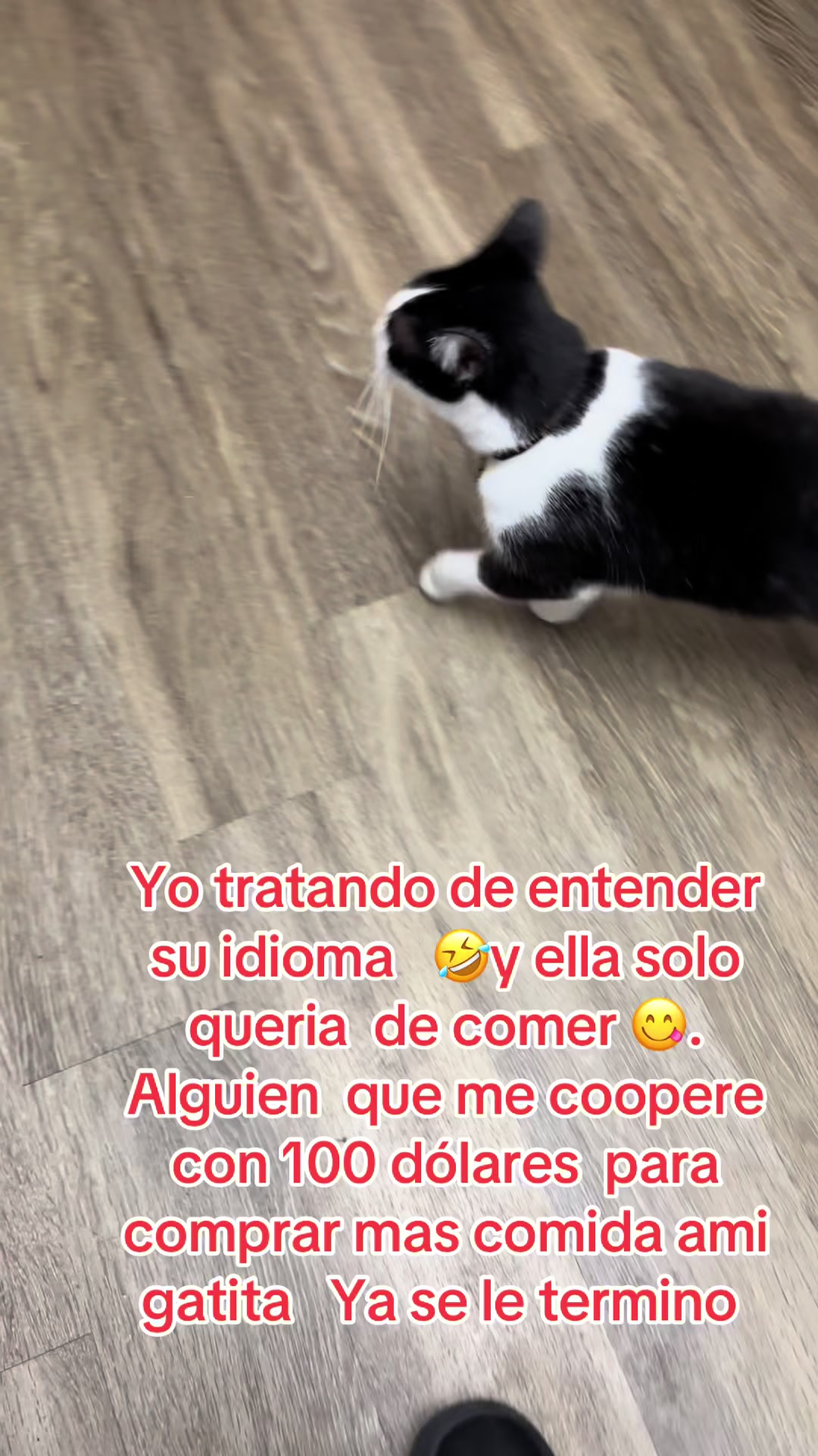 @Alma Baez295