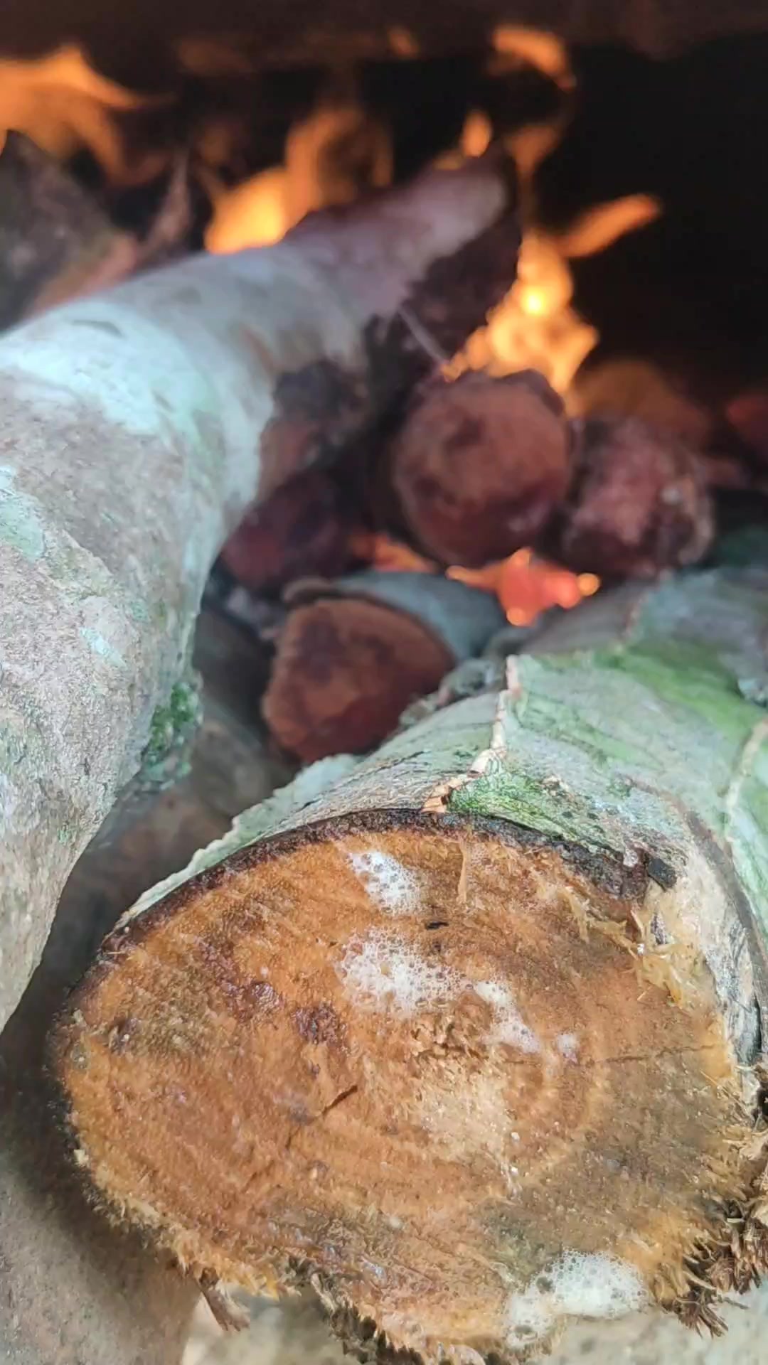@Sítio Flor de Maria
