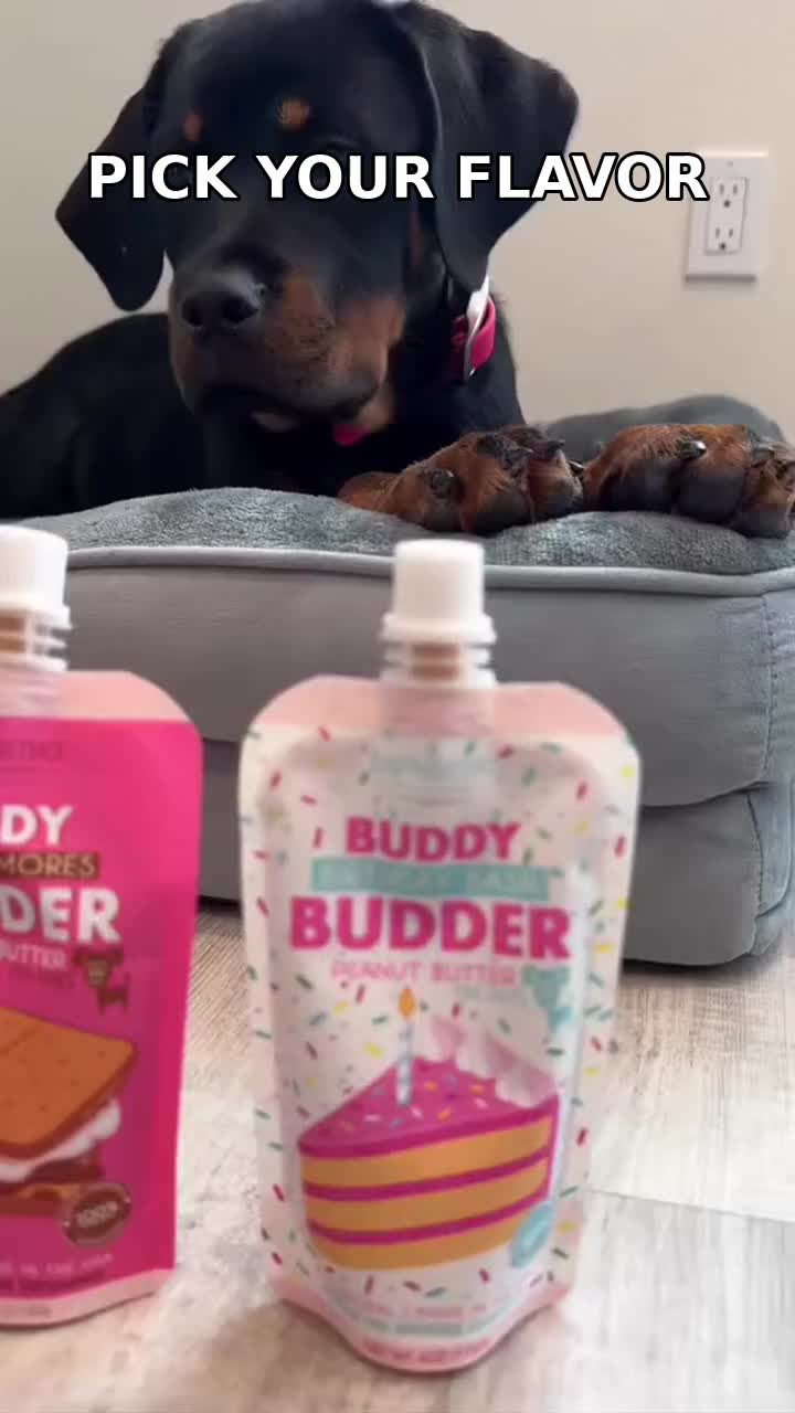 @Buddy Budder
