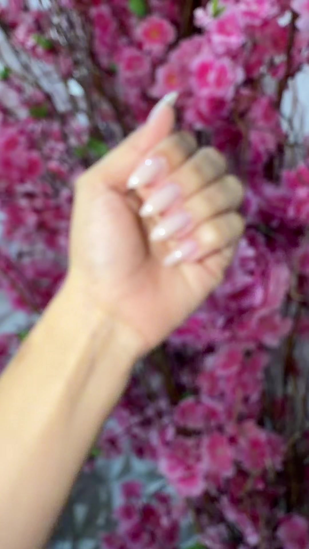 @naelypereira