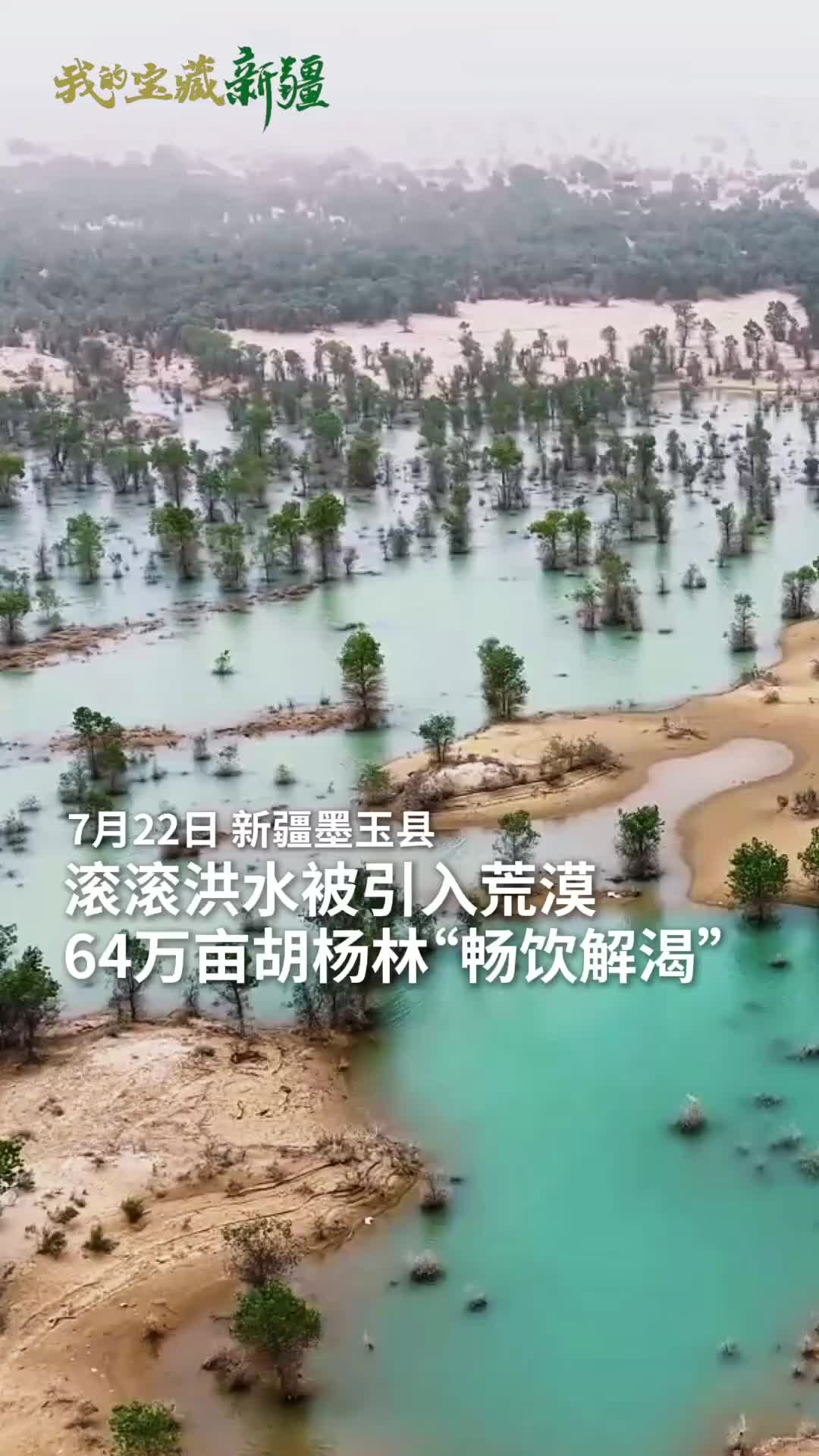 @北江魚