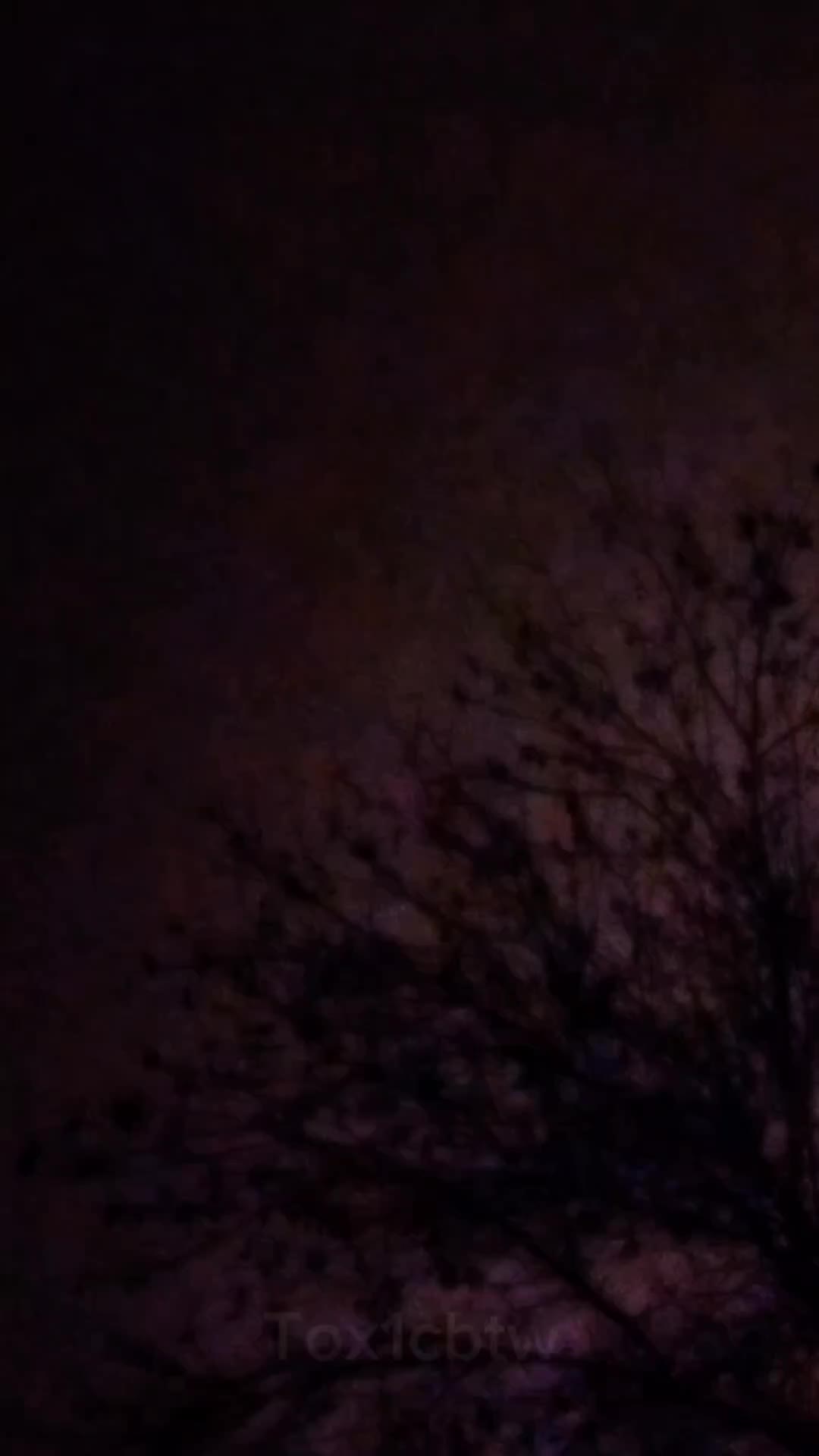 @✞ᎧẌℐ☾฿✞Ш