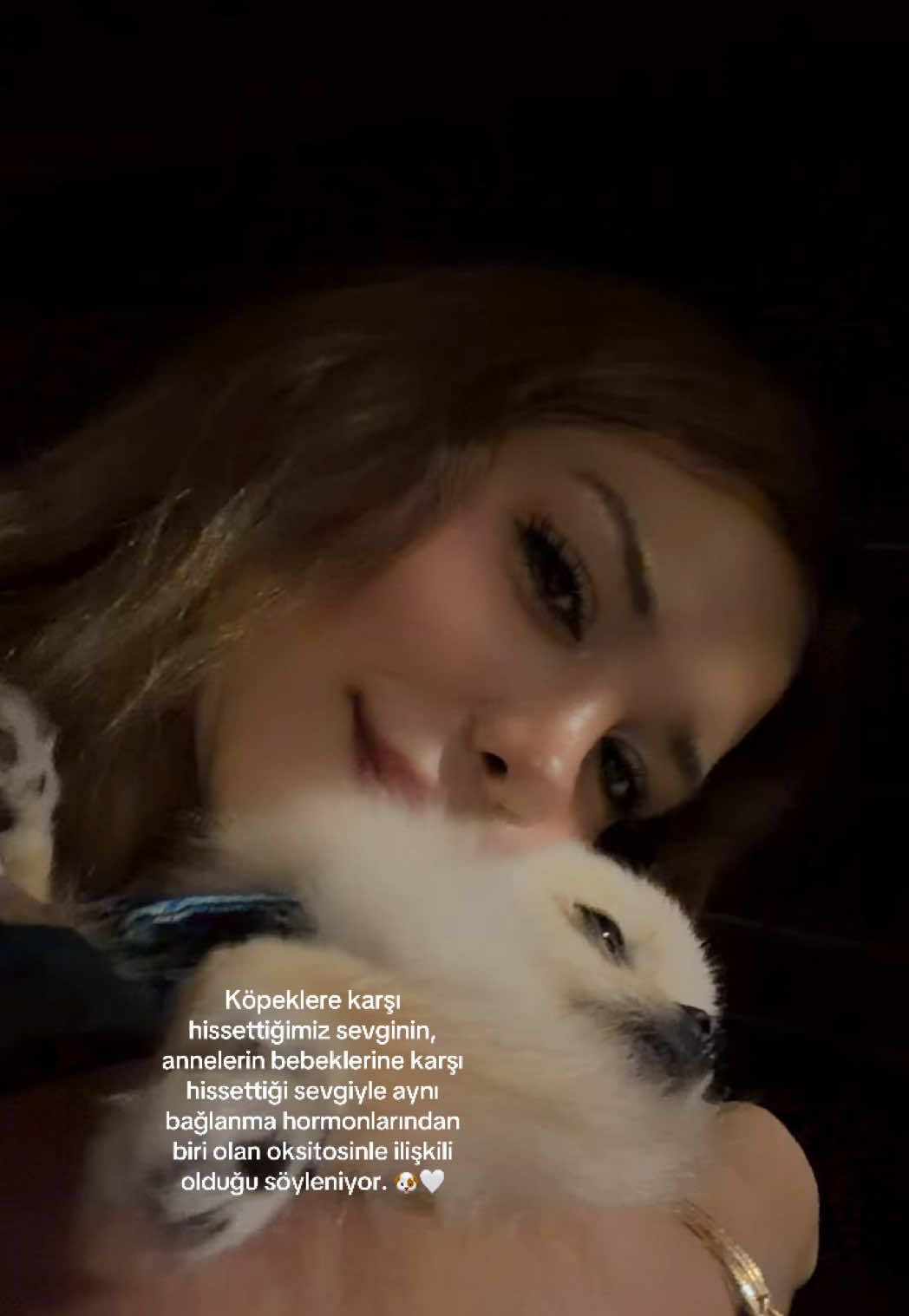 @sena_live01