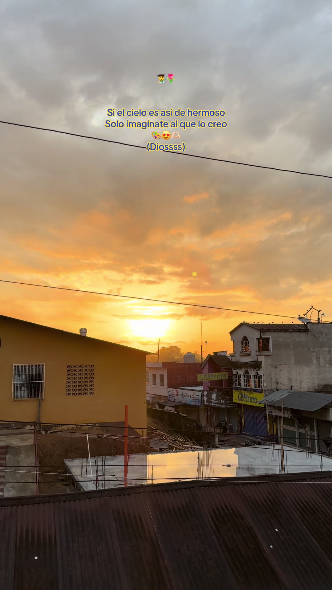 @Armando-Itzep🇬🇹