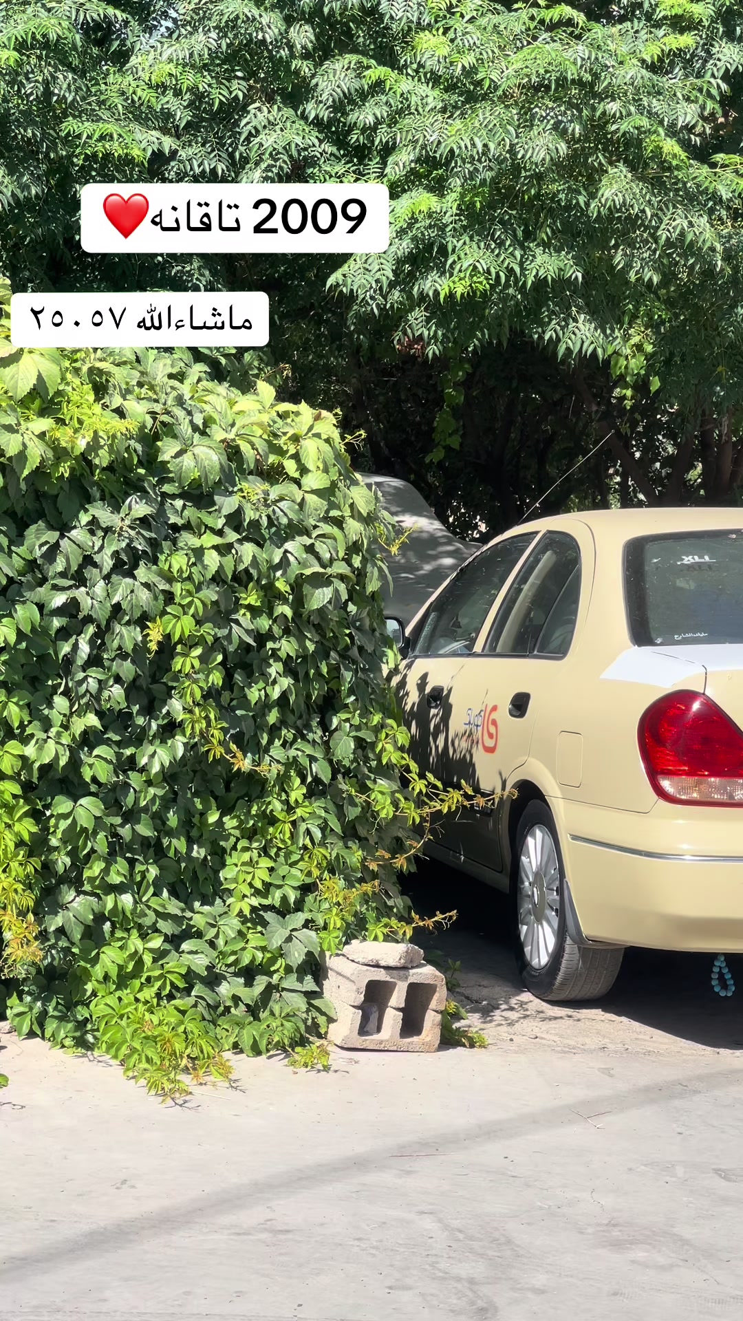 @﮼رامەی ﮼سەنی🇯🇵