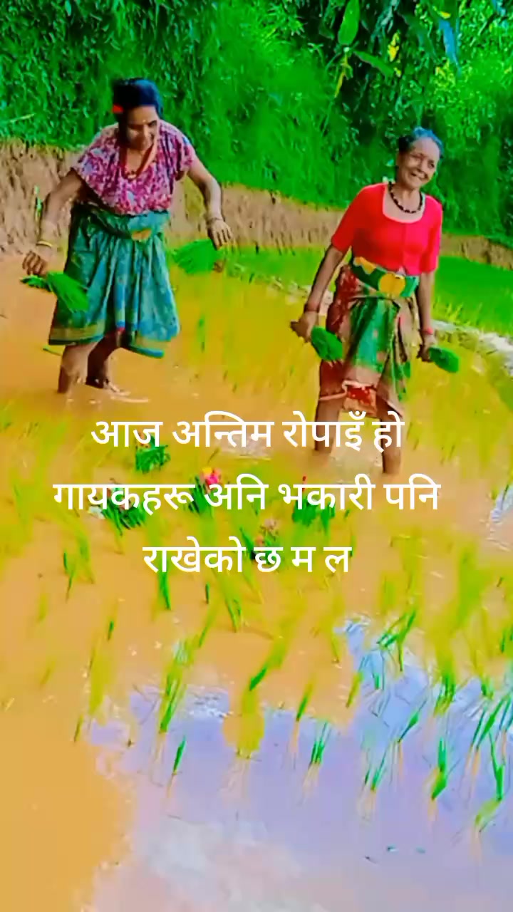 @kushum Darnal