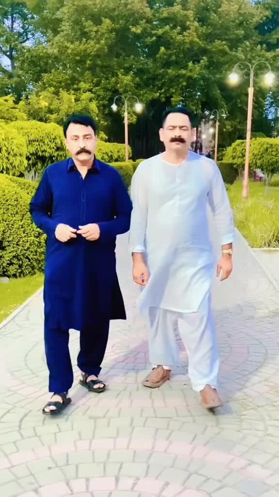 @Roy Aamir