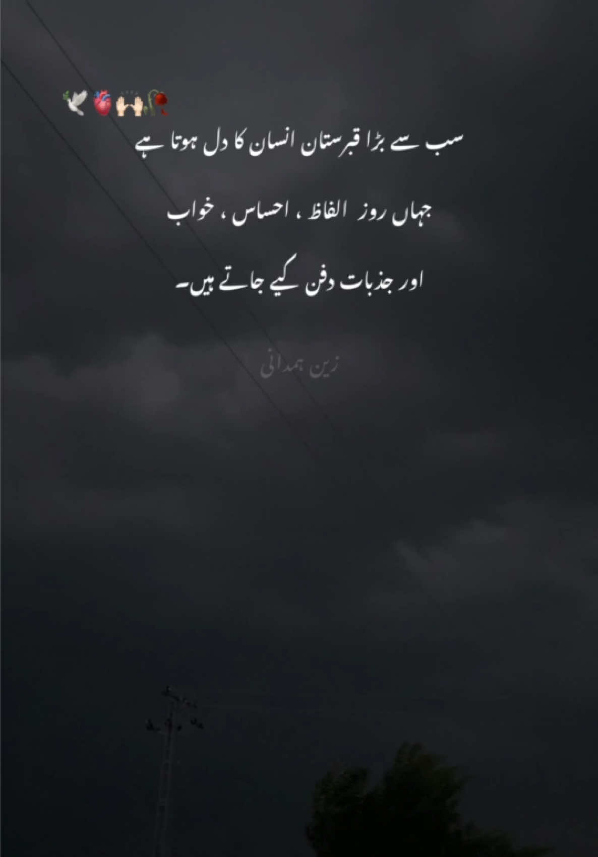 @Syed Zain