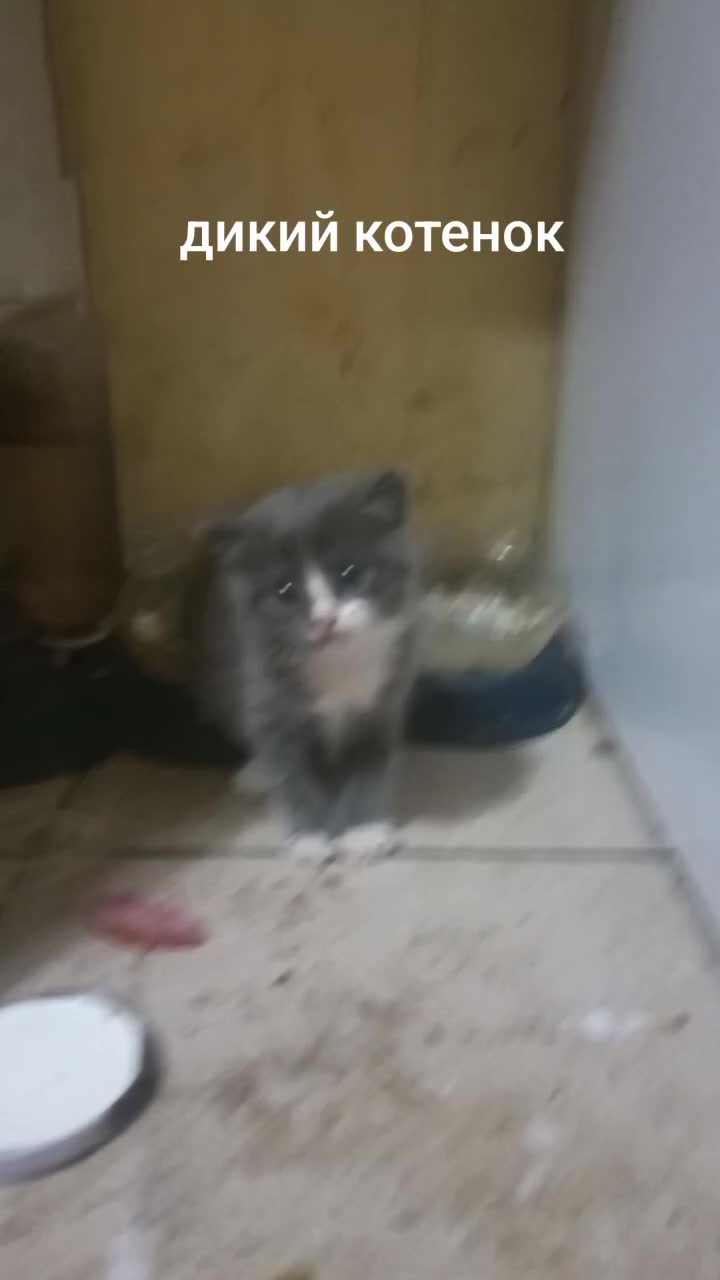@Артурыч