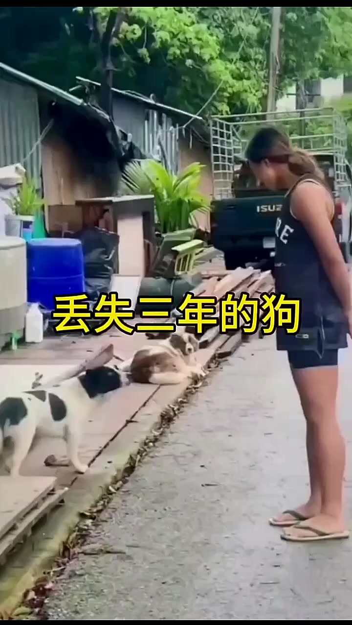@晃晃悠悠