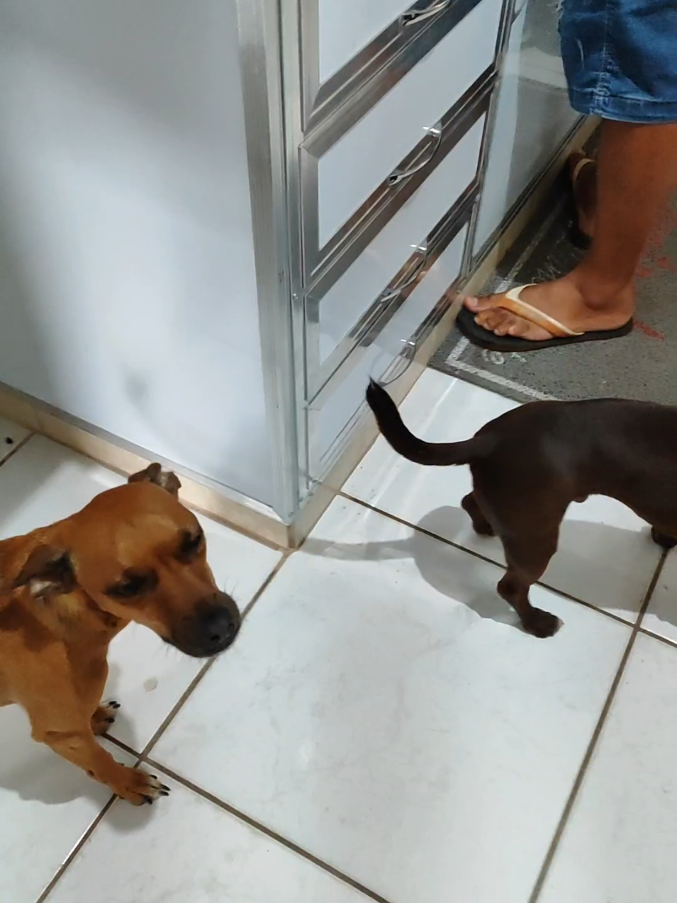 @Belinha e tiamara