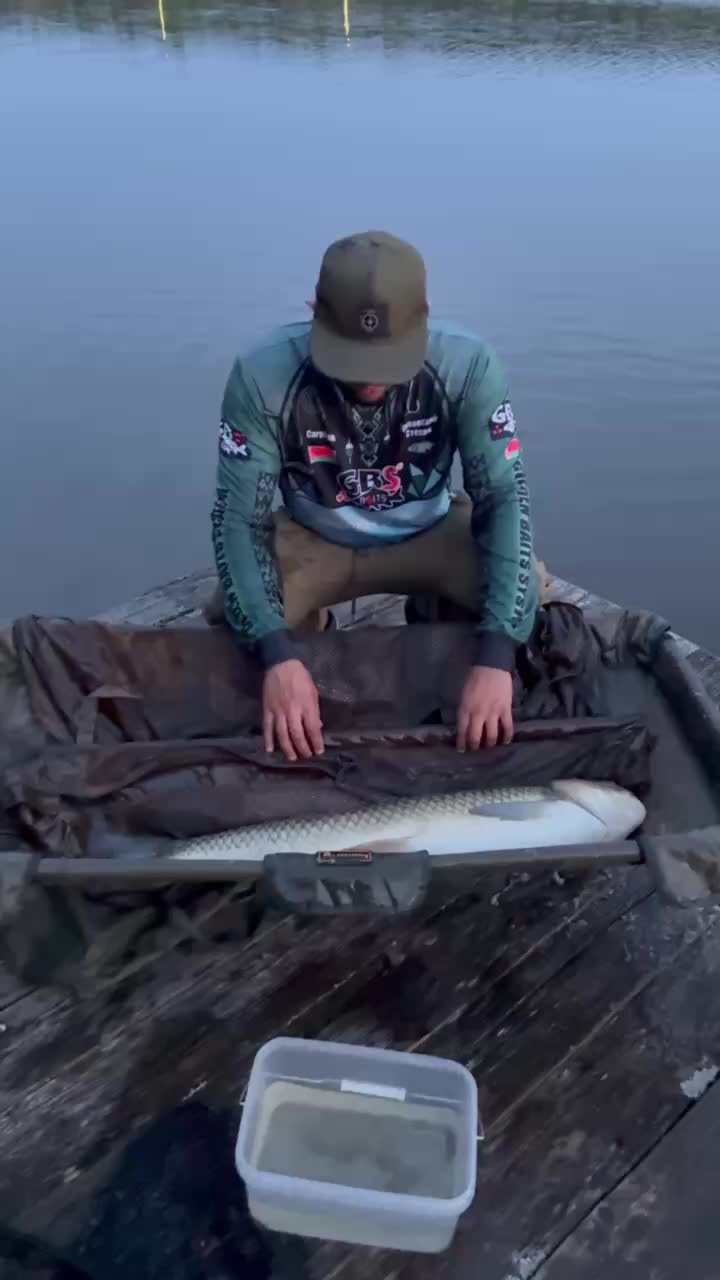 @Stepa Arsen  Carp Rom