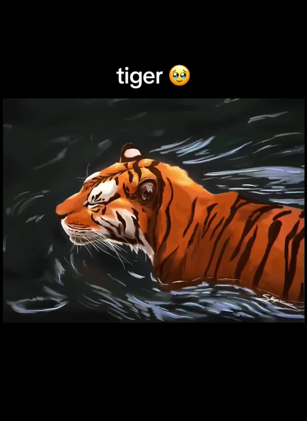 @snailyy🌺🐅