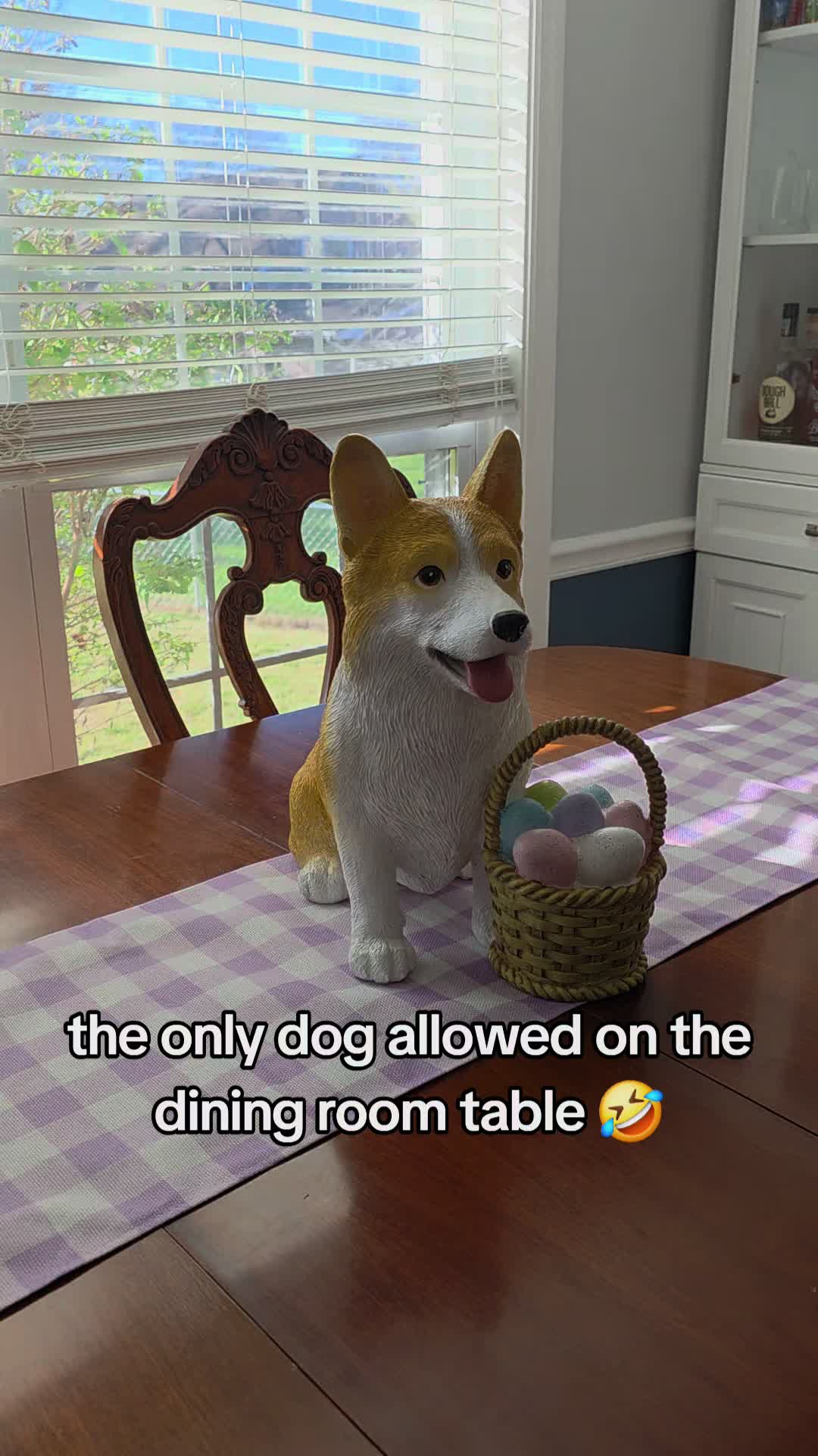 @Chelsea | Corgi Mom 🐾