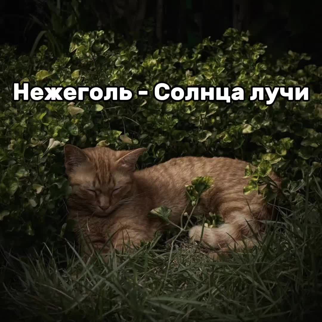 @⌖ᛊᛟᚹᚱ⌖