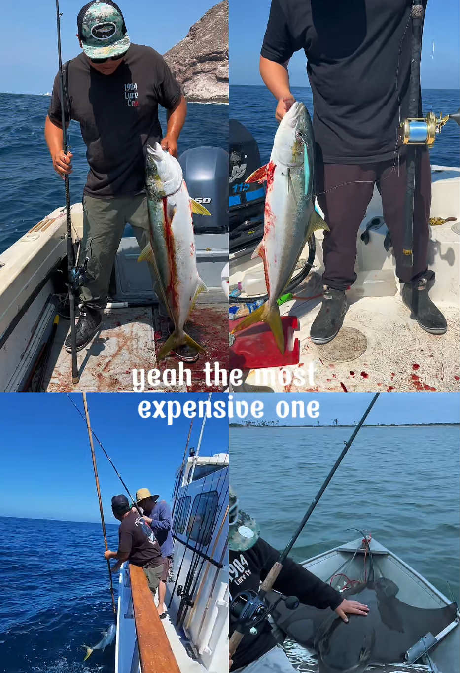 @matt.fishh