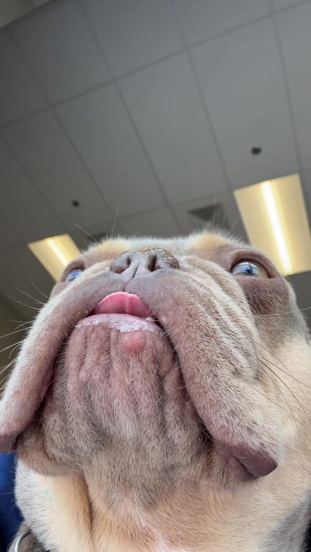 @beefwellington