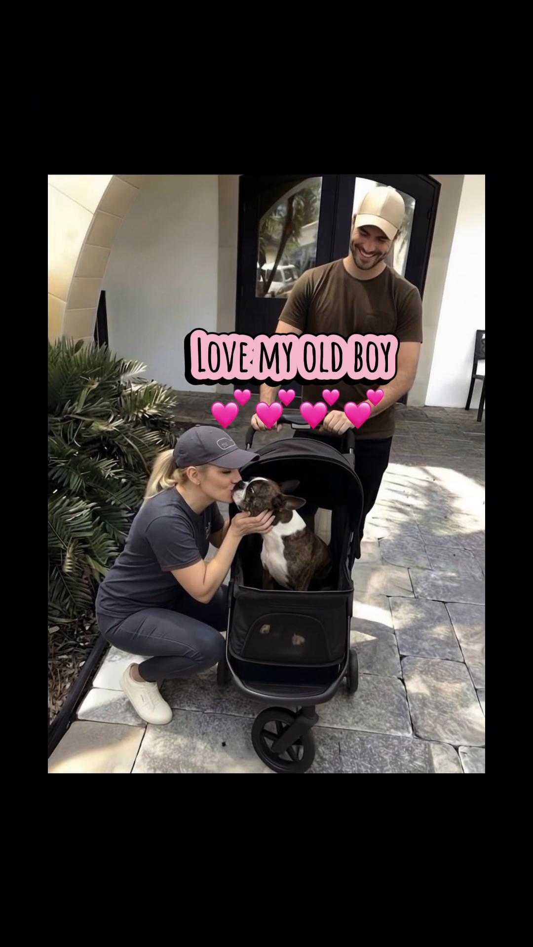 @mybffisabostonterrier
