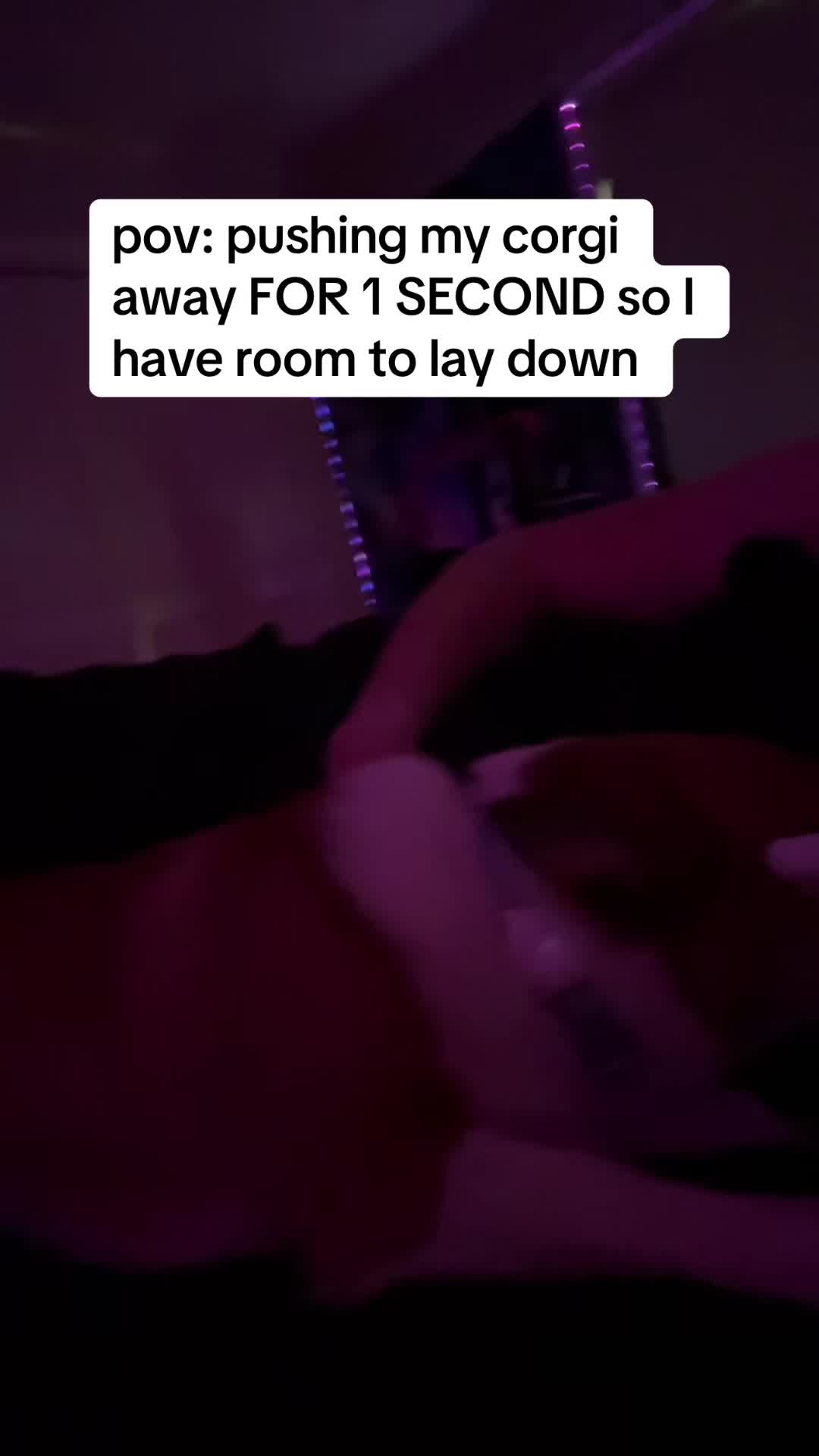 @adrian