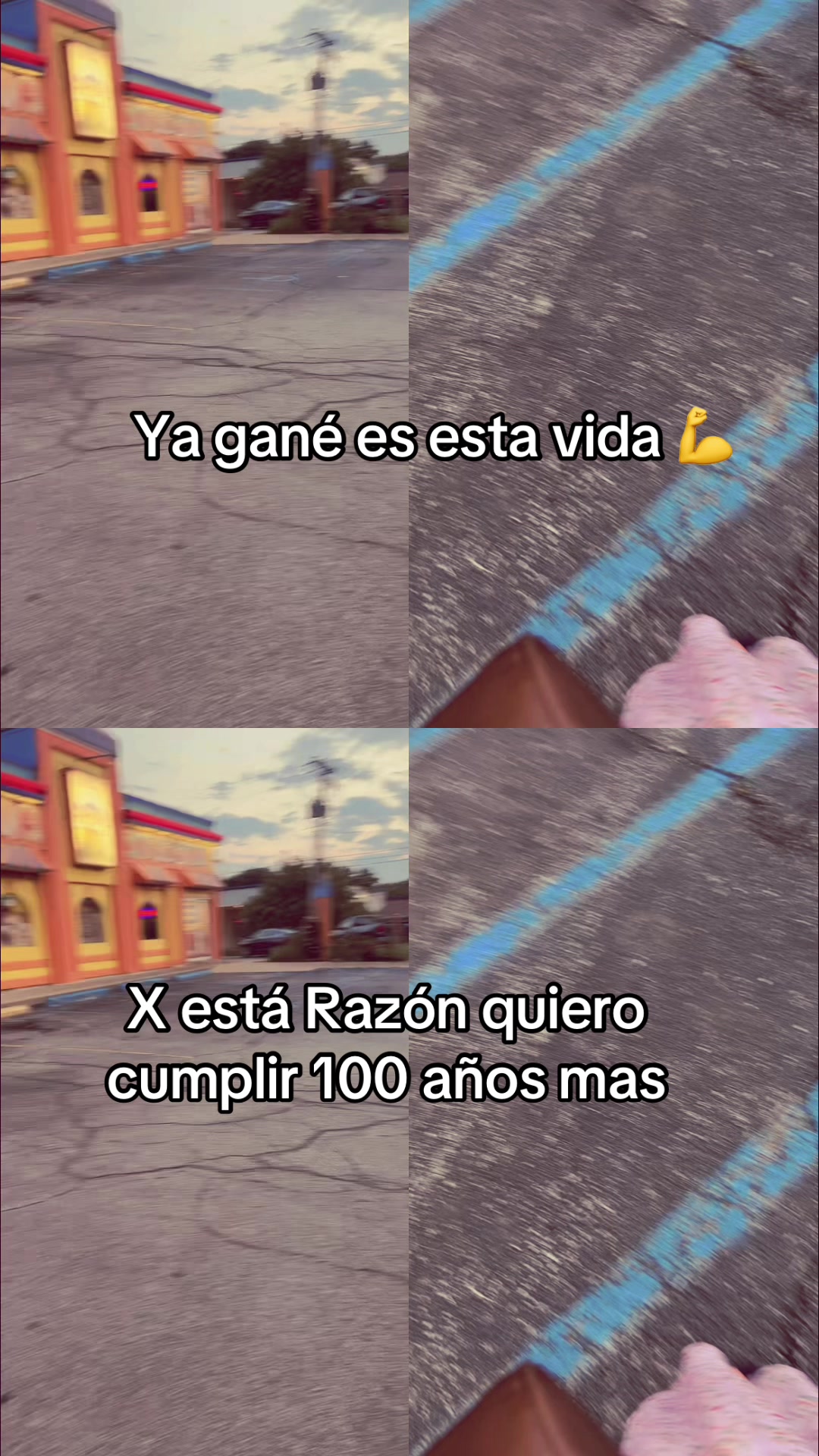 @🐾 🎀 𝒜𝓃𝒾𝓉𝒶 🎀 🐾