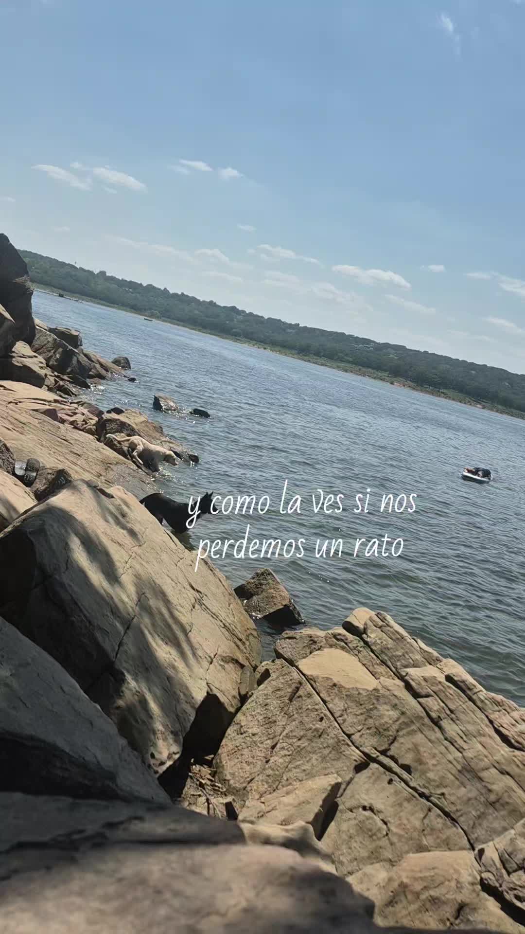@🦋