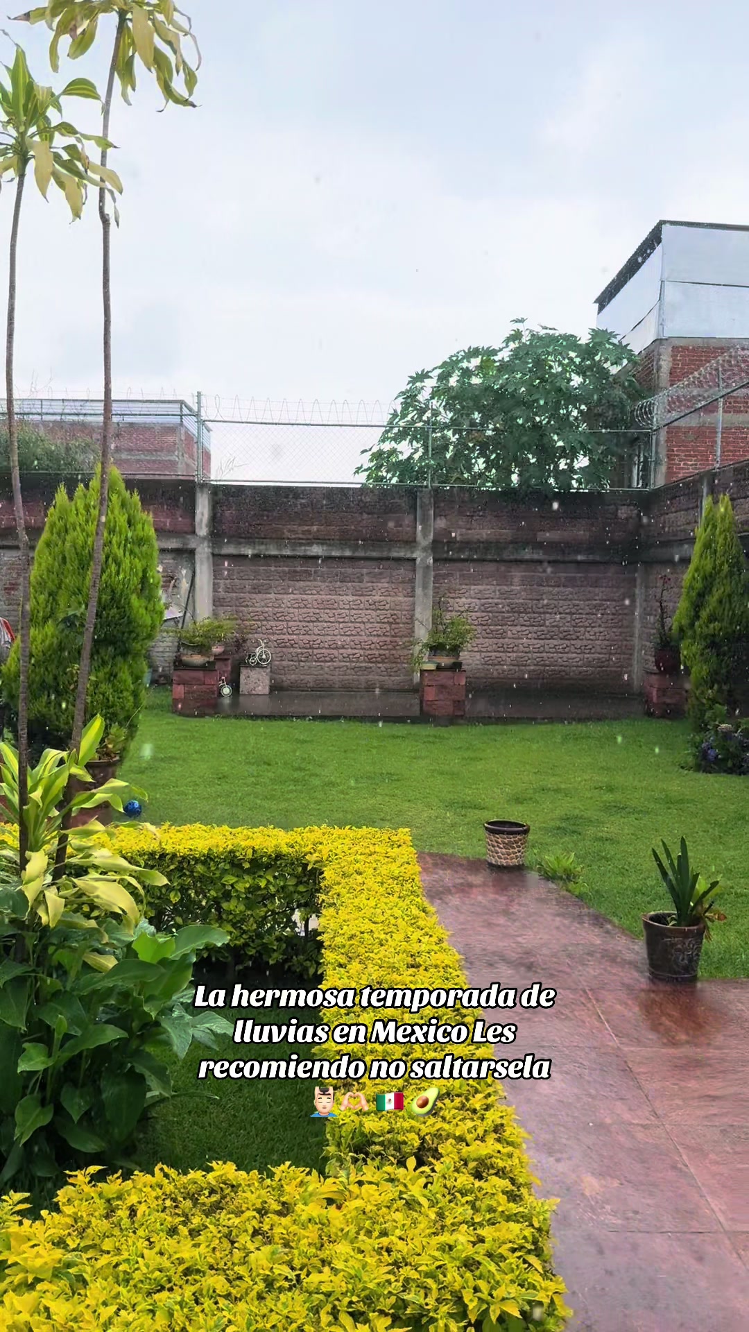 @Ricardo Andrade