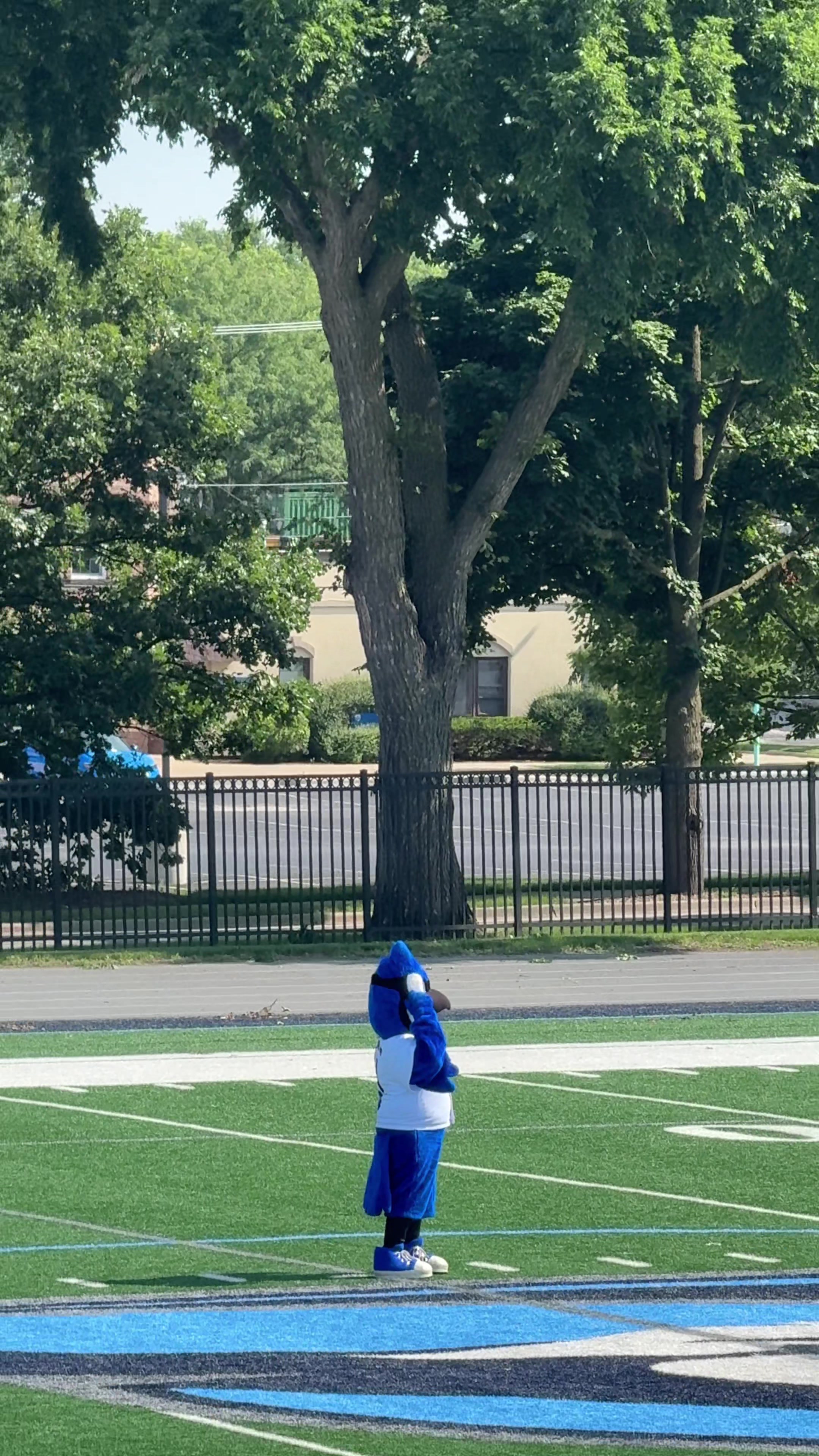 @Elmhurst University Admission