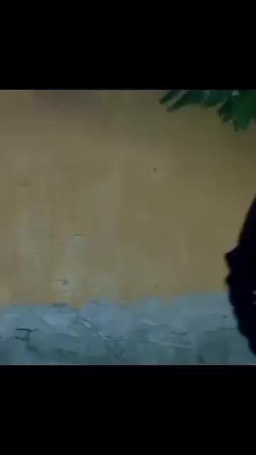 @جَلَيـــــــّلَ 🦅🥀