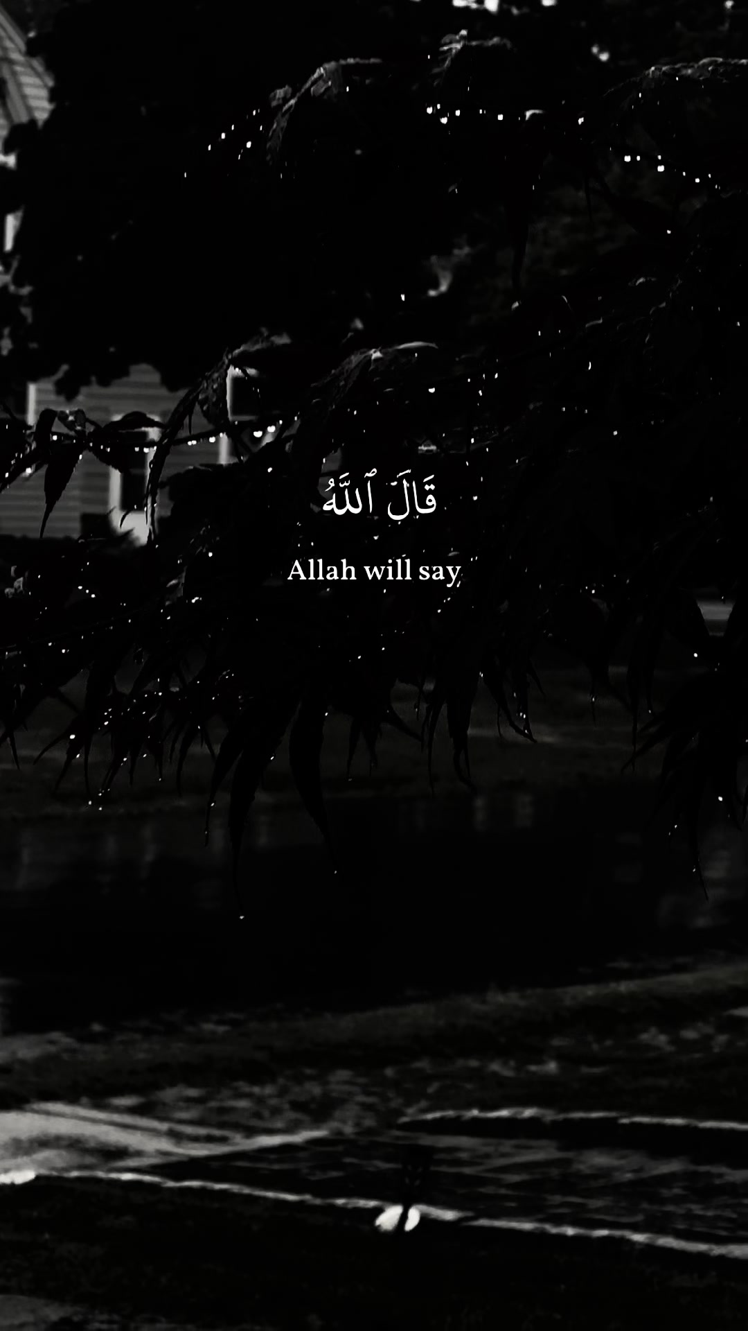 @💦🫧🖤فيفا 🖤🫧💦