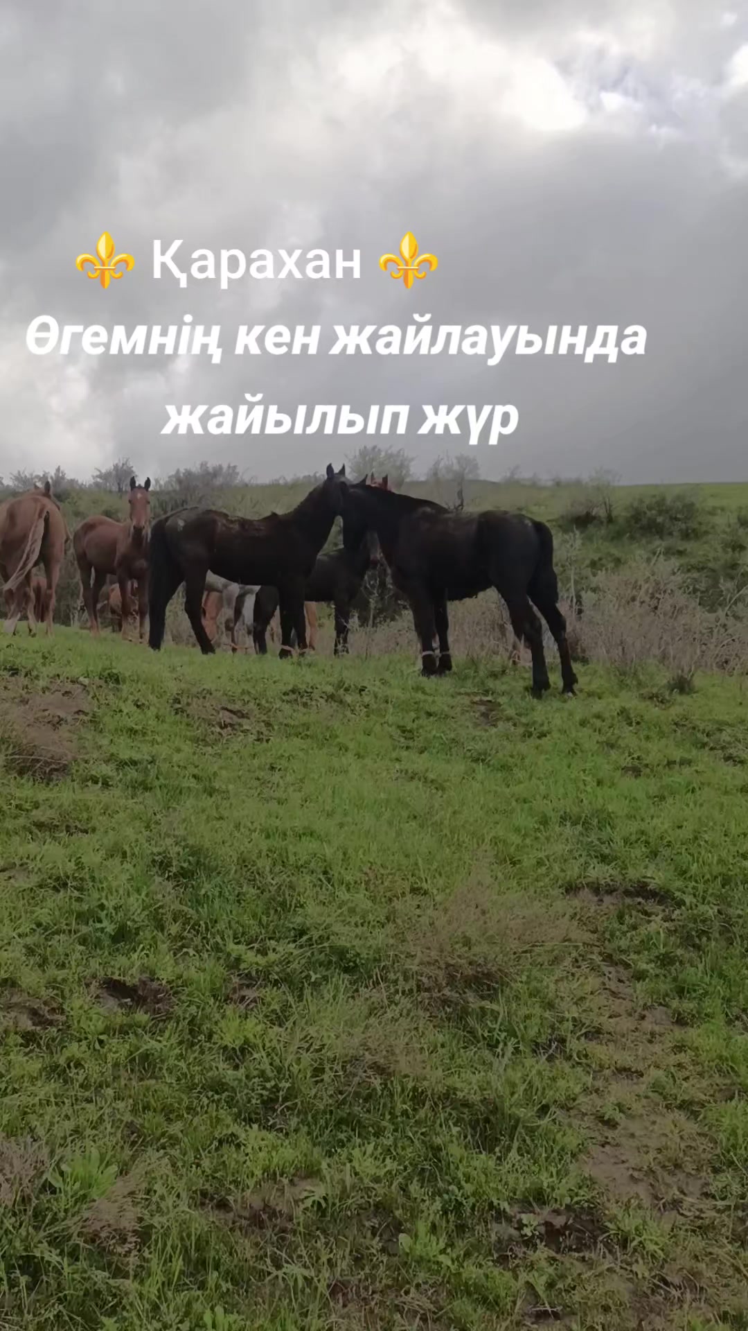 @maga_suan