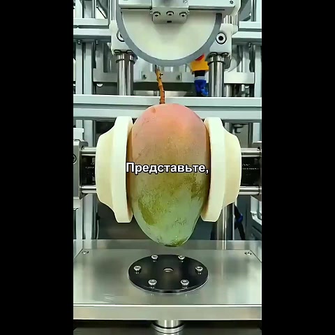 @Не наш слоняра 2