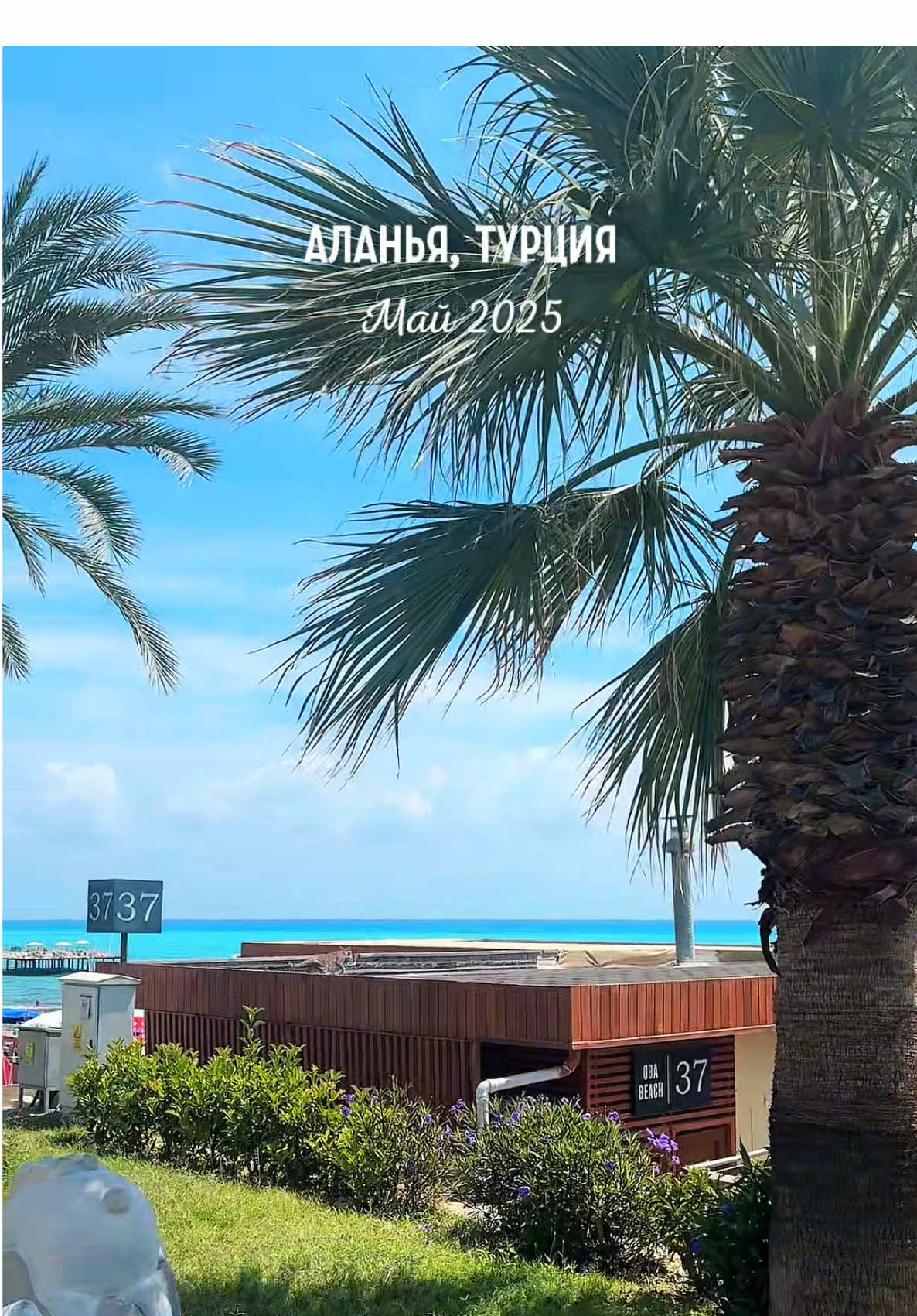 @Татьяна в Турции 🇹🇷