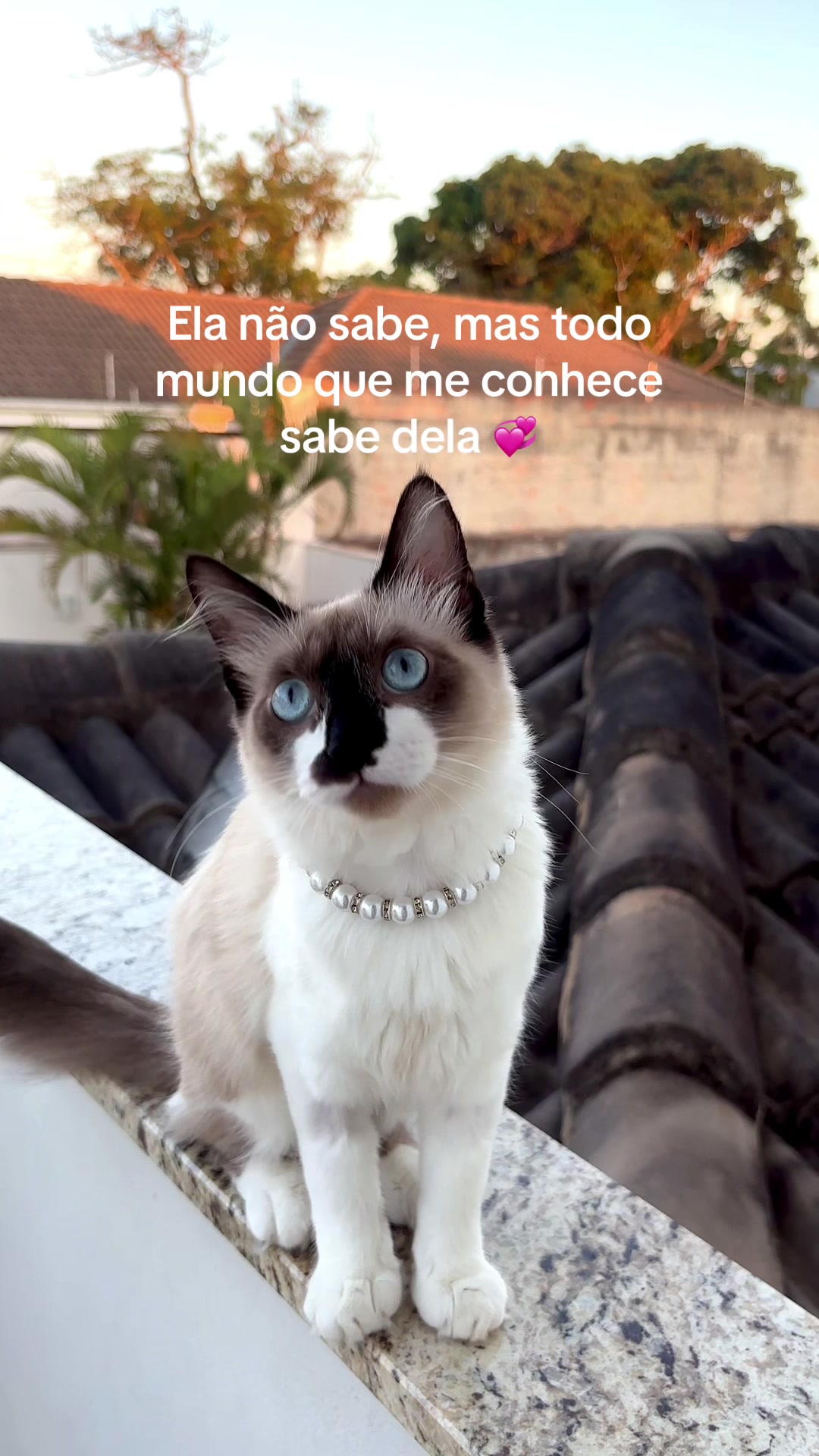 @ANNA