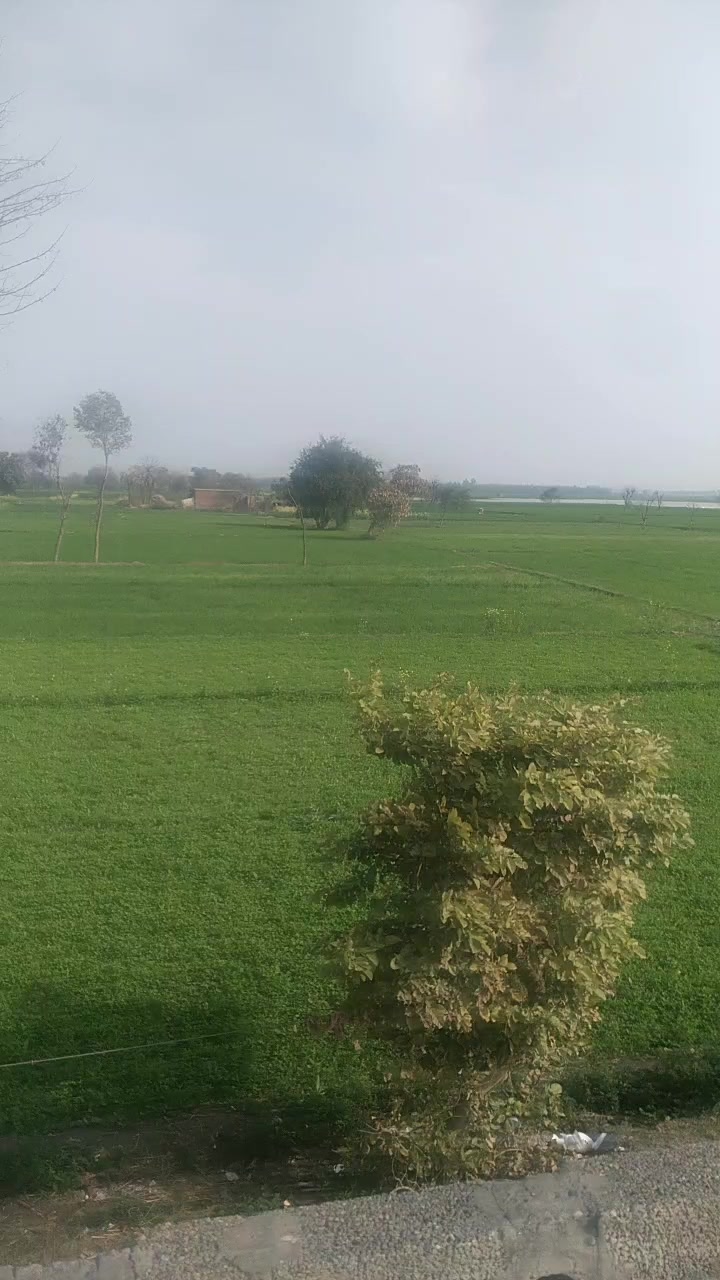@zameerhussain69