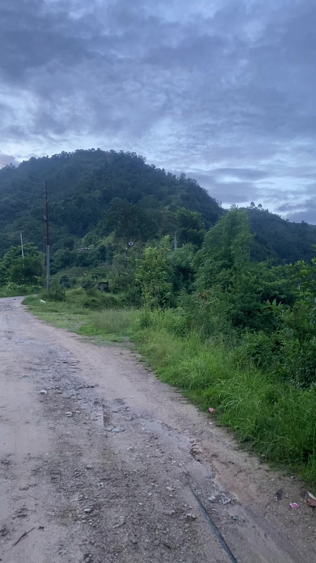 @थानेश्वर ज्ञवाली