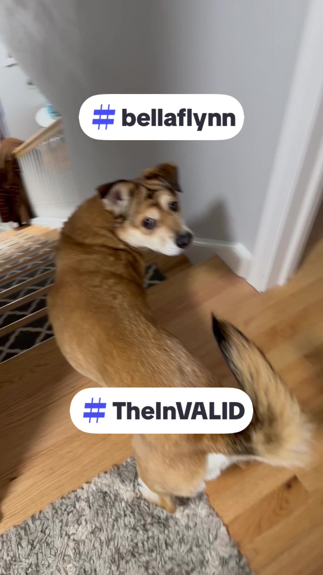 @The InVALID