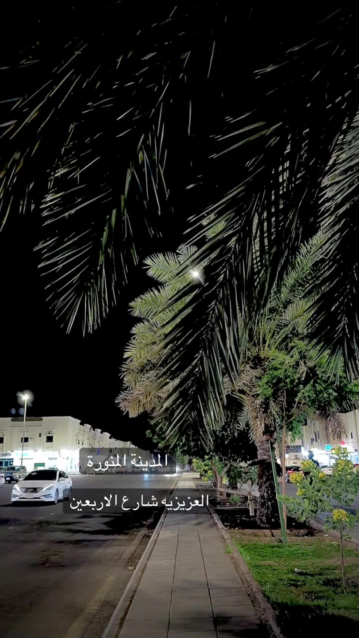@عائشة الحربي  يوشا