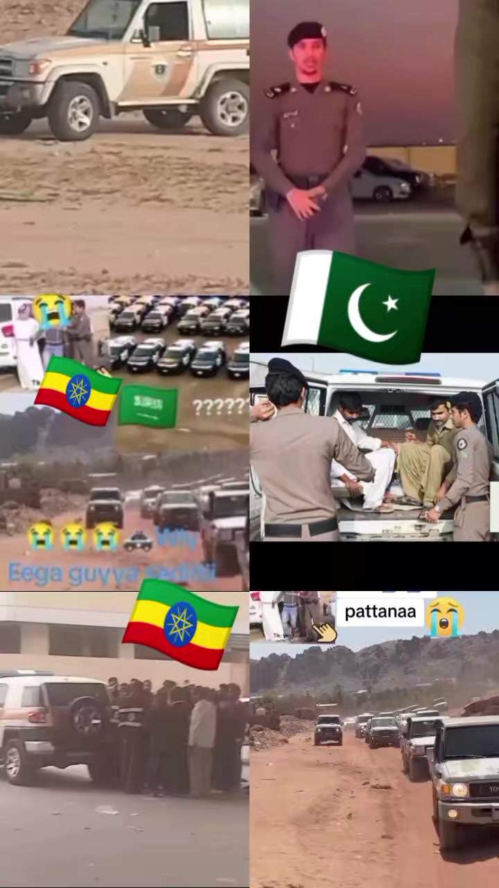 @Hamzaa habiib1