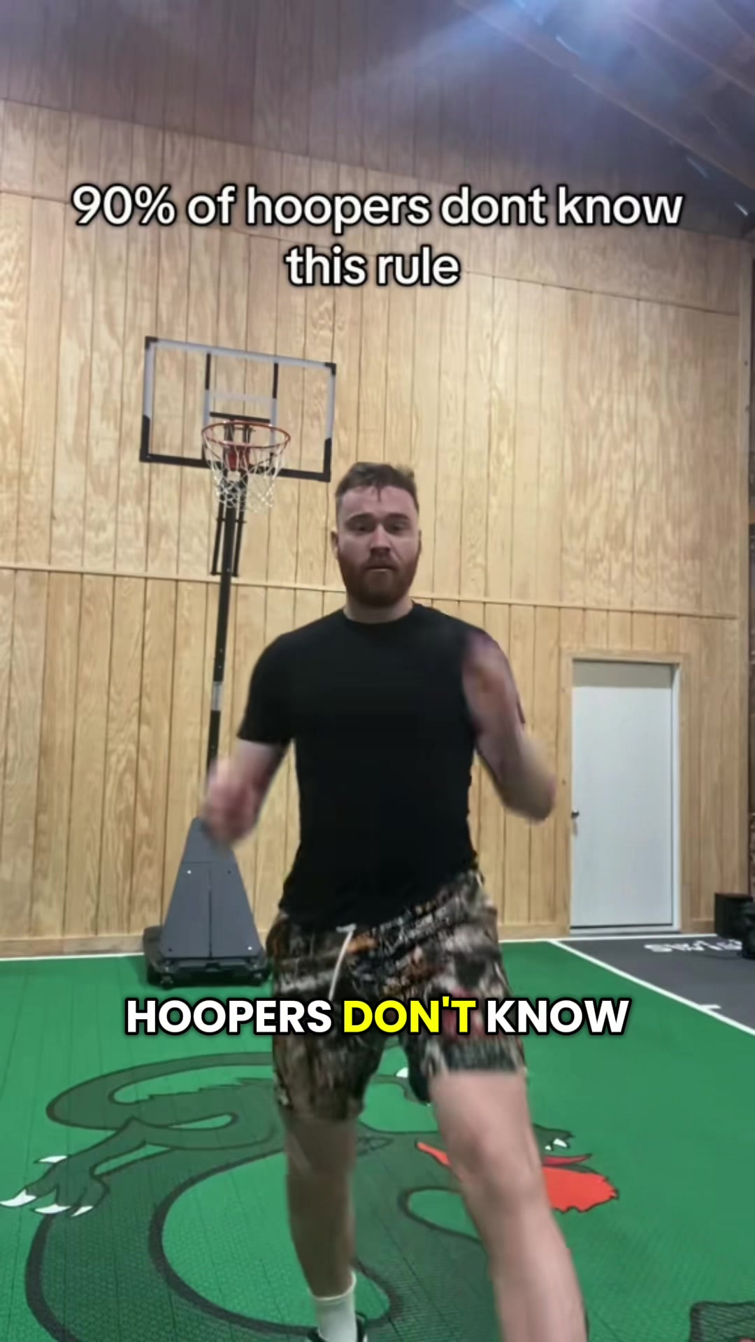 @Mr Bearded Dragon