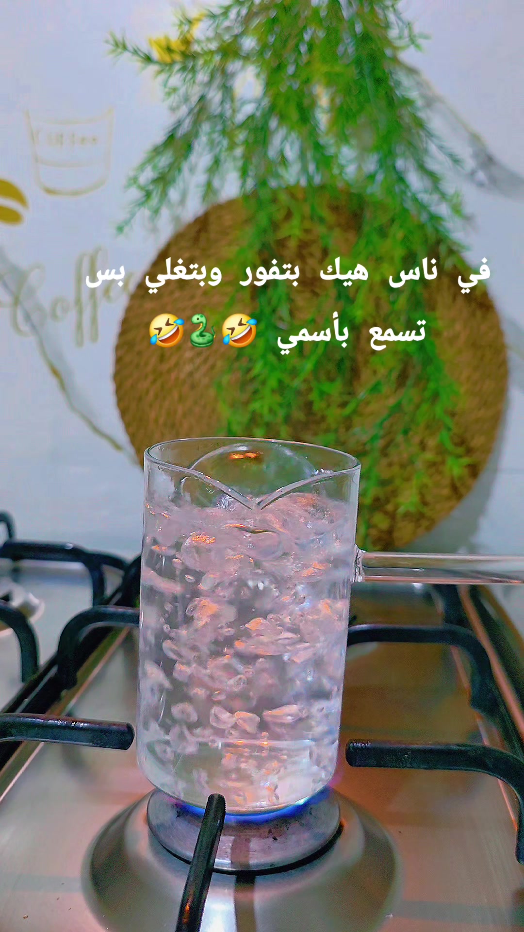 @๐ Sham ๐