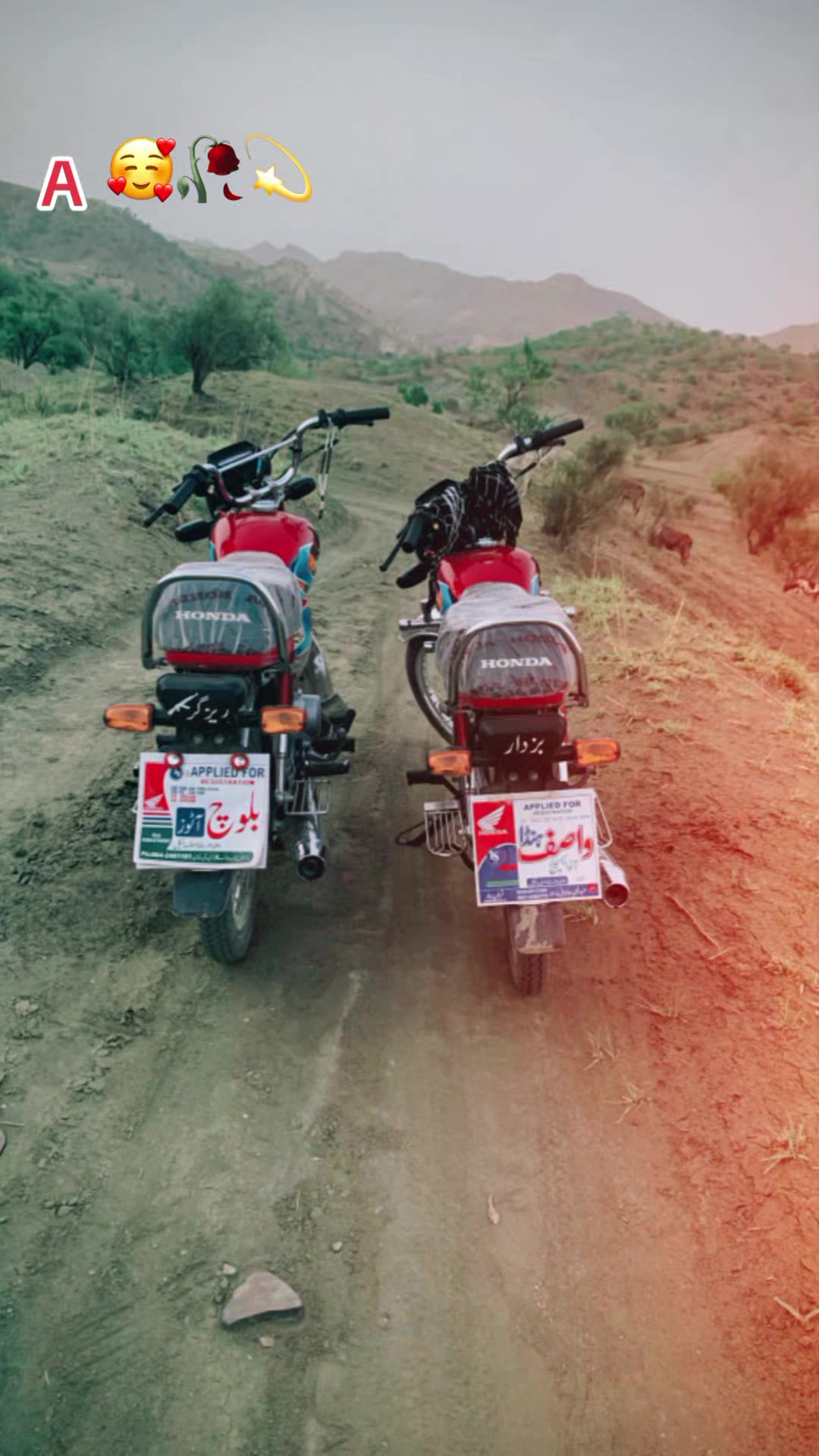 @Buzdar 302 🥷