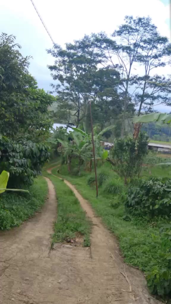 @mas muk