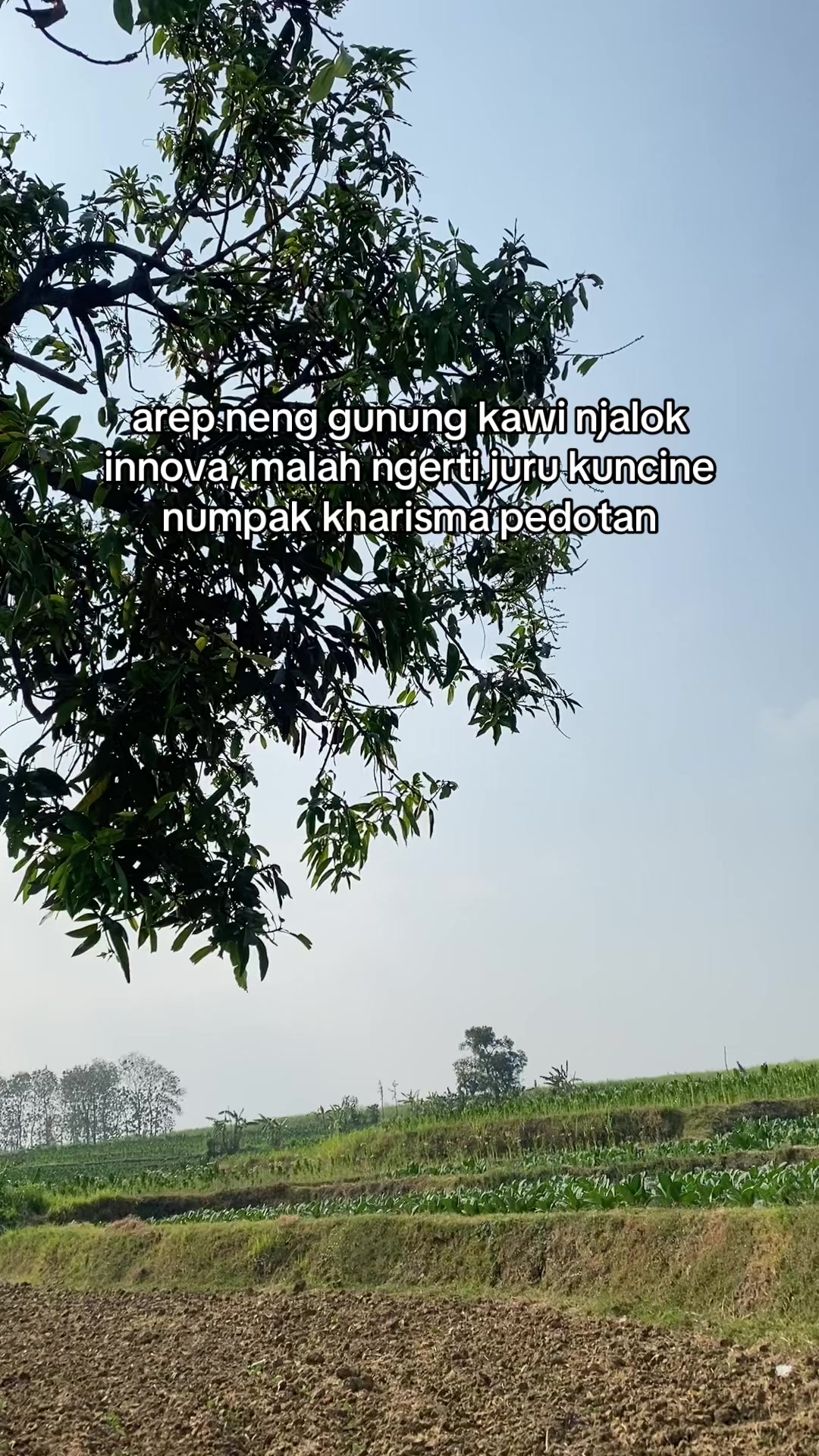 @Anak Ruju