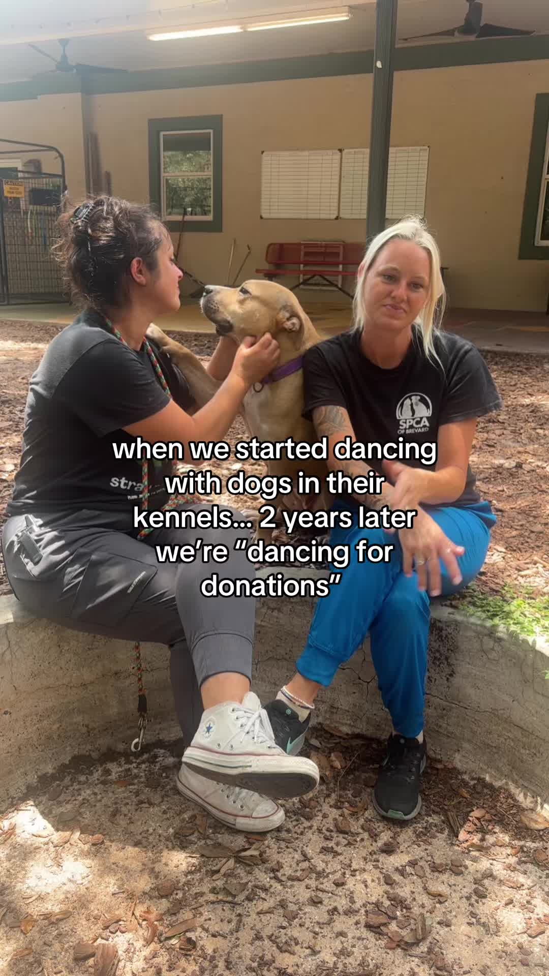 @2vettechs