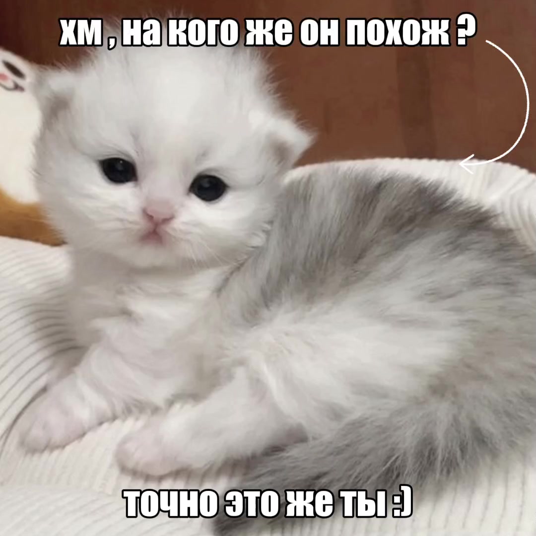 @мама дед инсайдов