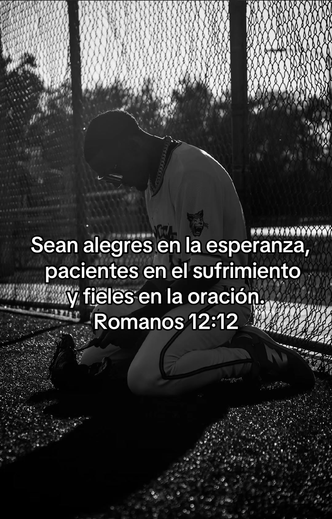 @LACOSITA_3