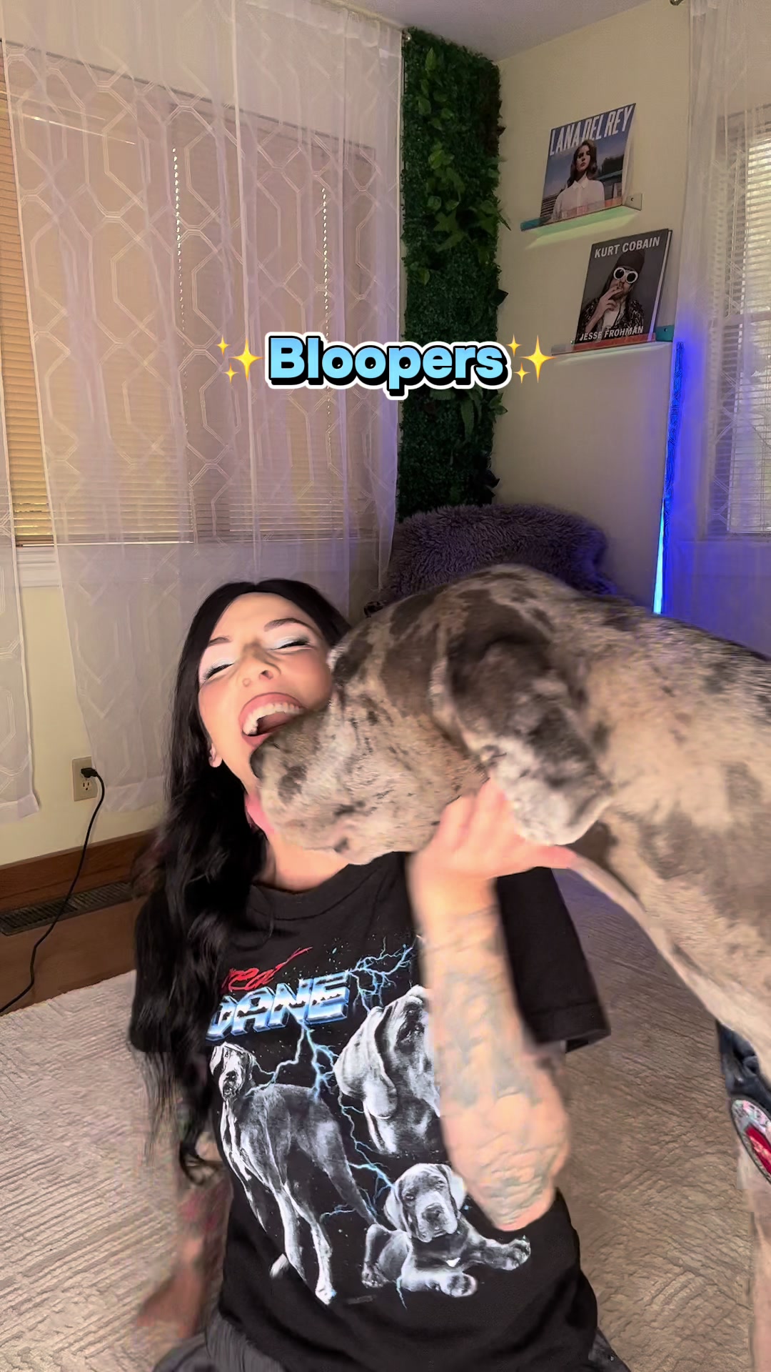 @lex 🐺⛓️
