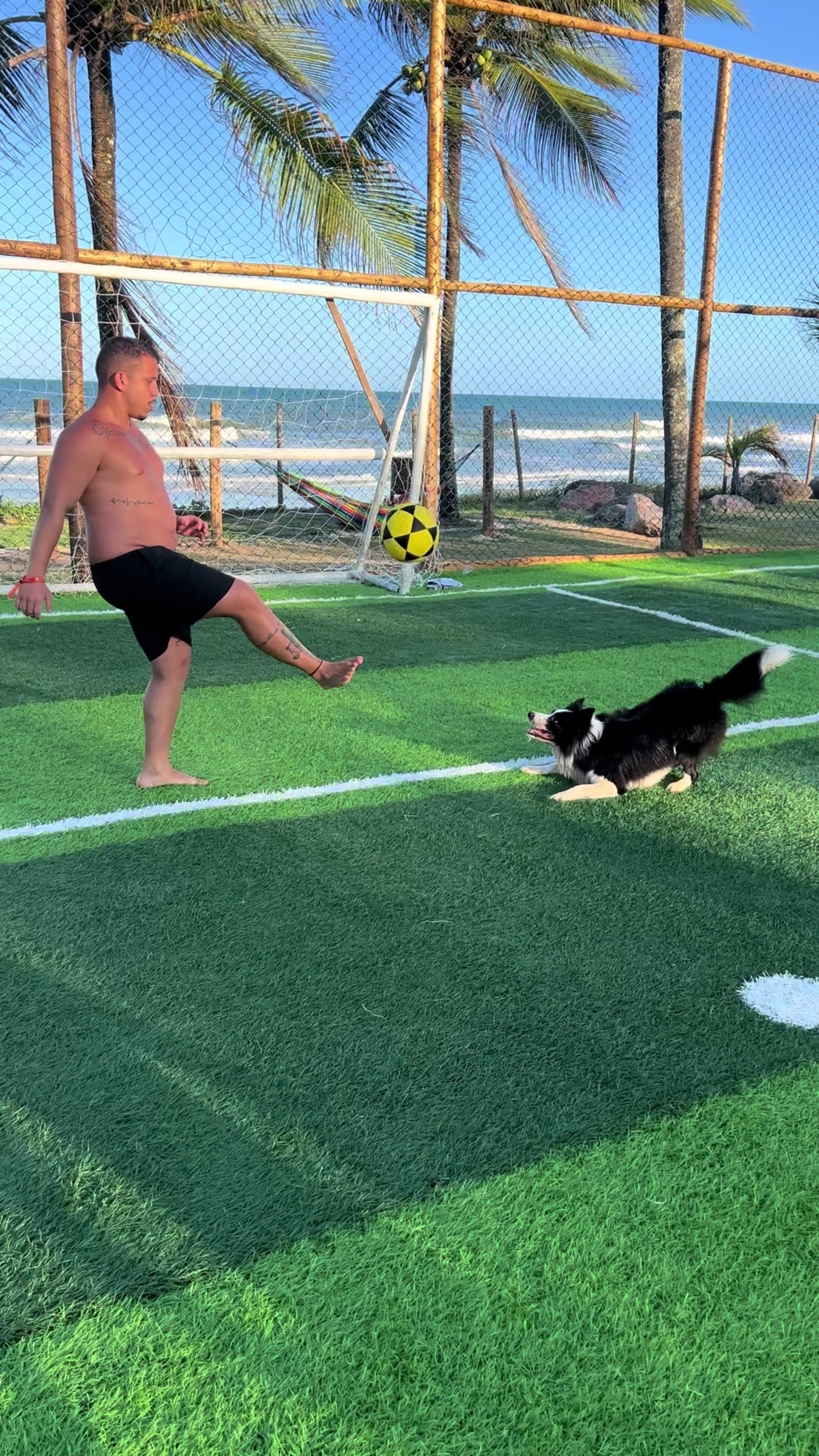 @dog_altinha