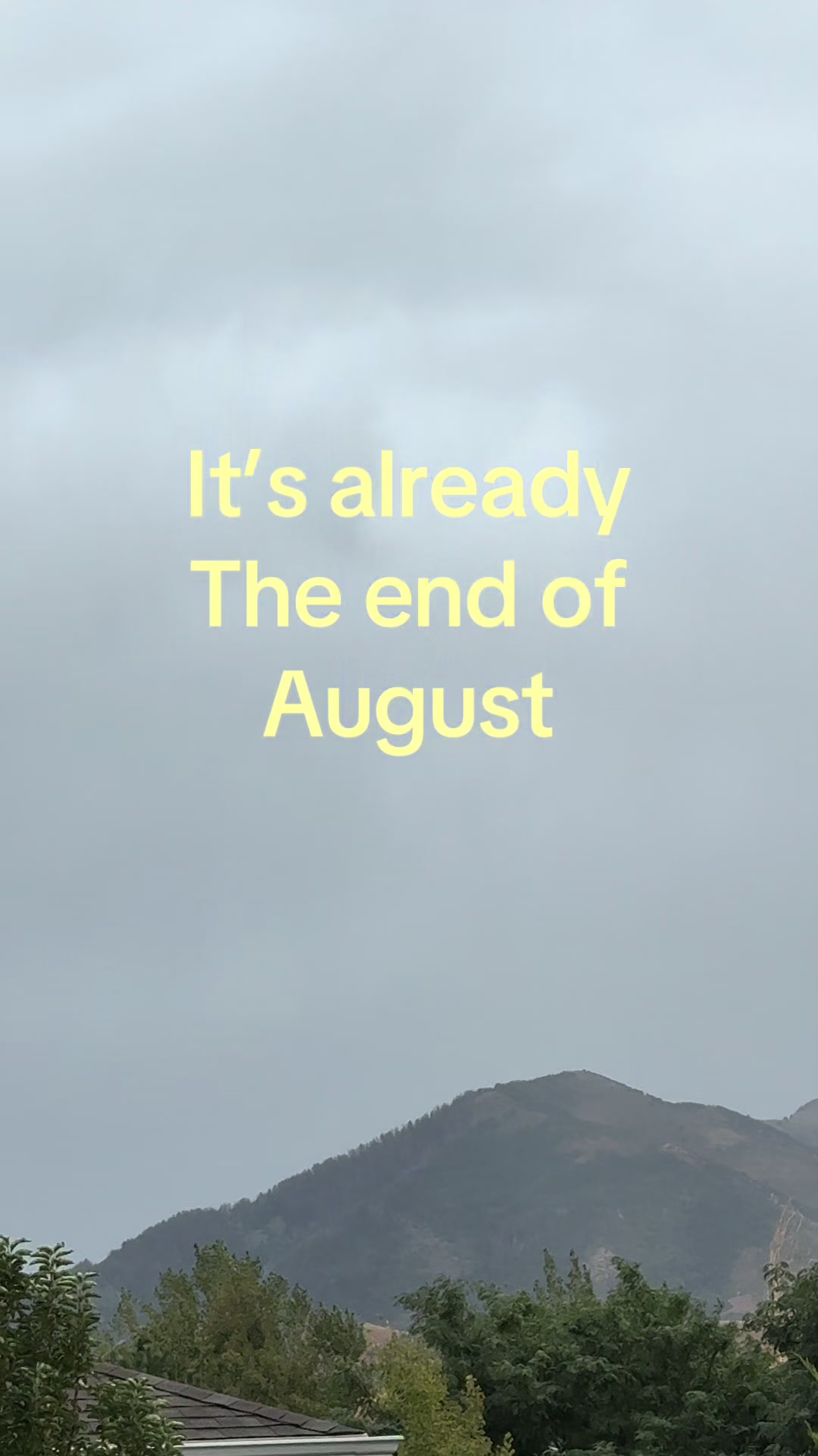 @🌊🌊🌊